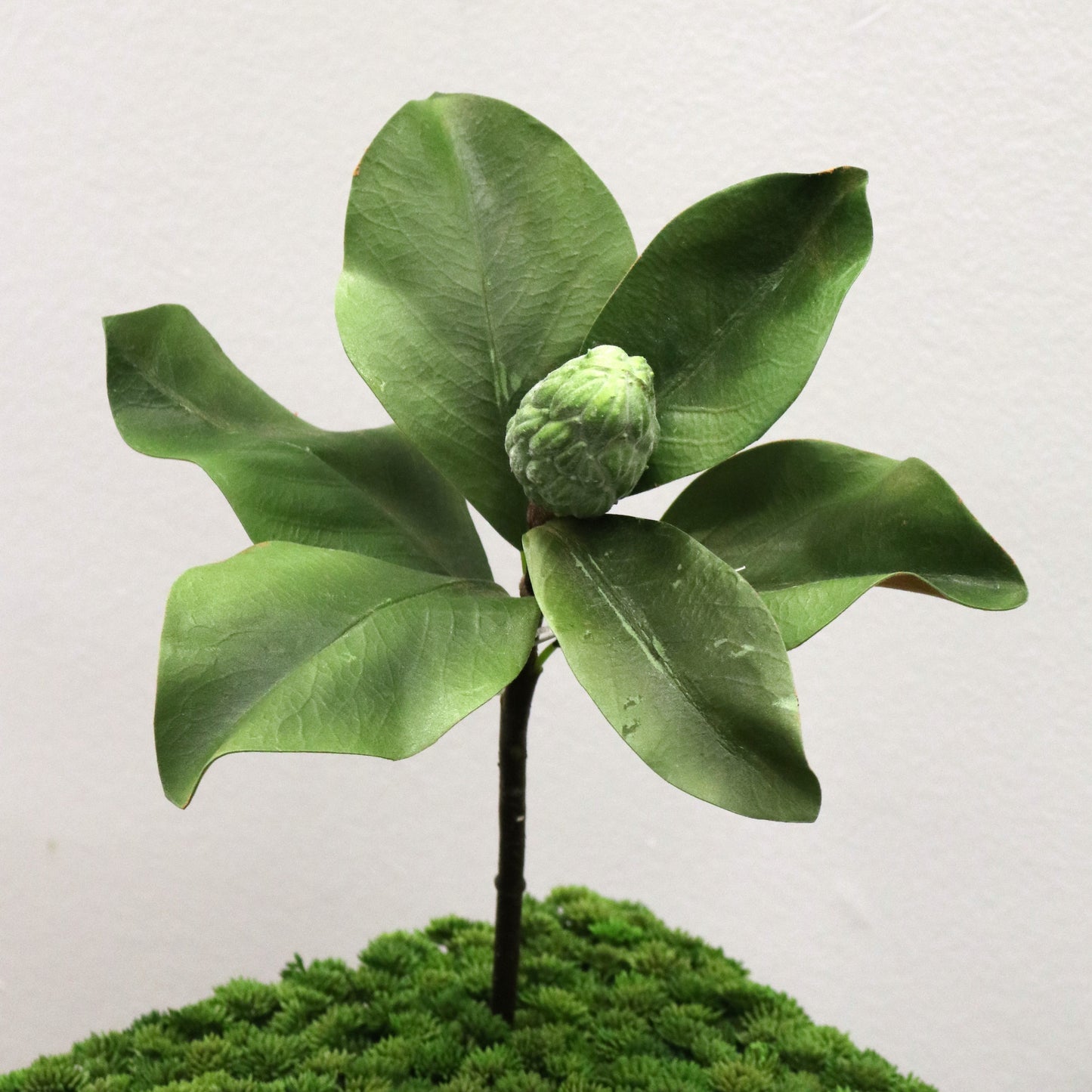FL11777 MAGNOLIA LVS SPRAYx1B,13in-12P/96