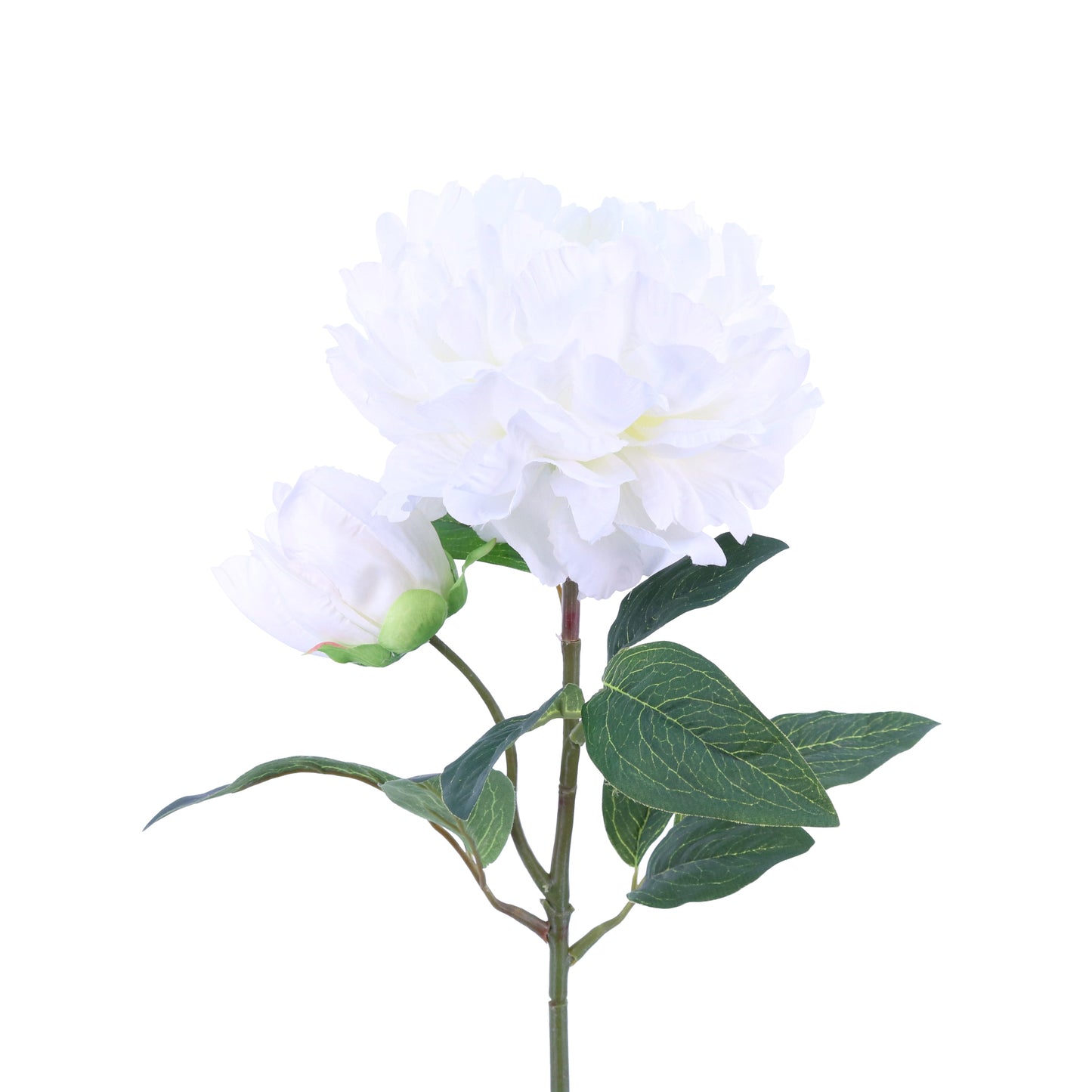 FL11903 PEONY SPRAYx1F1B,29in-12P/120/10.95
