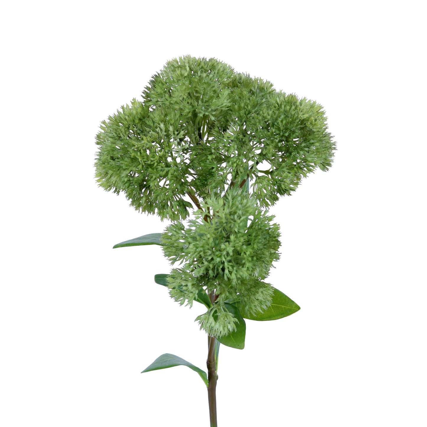 FL12022 SEDUM SPRAY,25in-12P/60/6.88'
