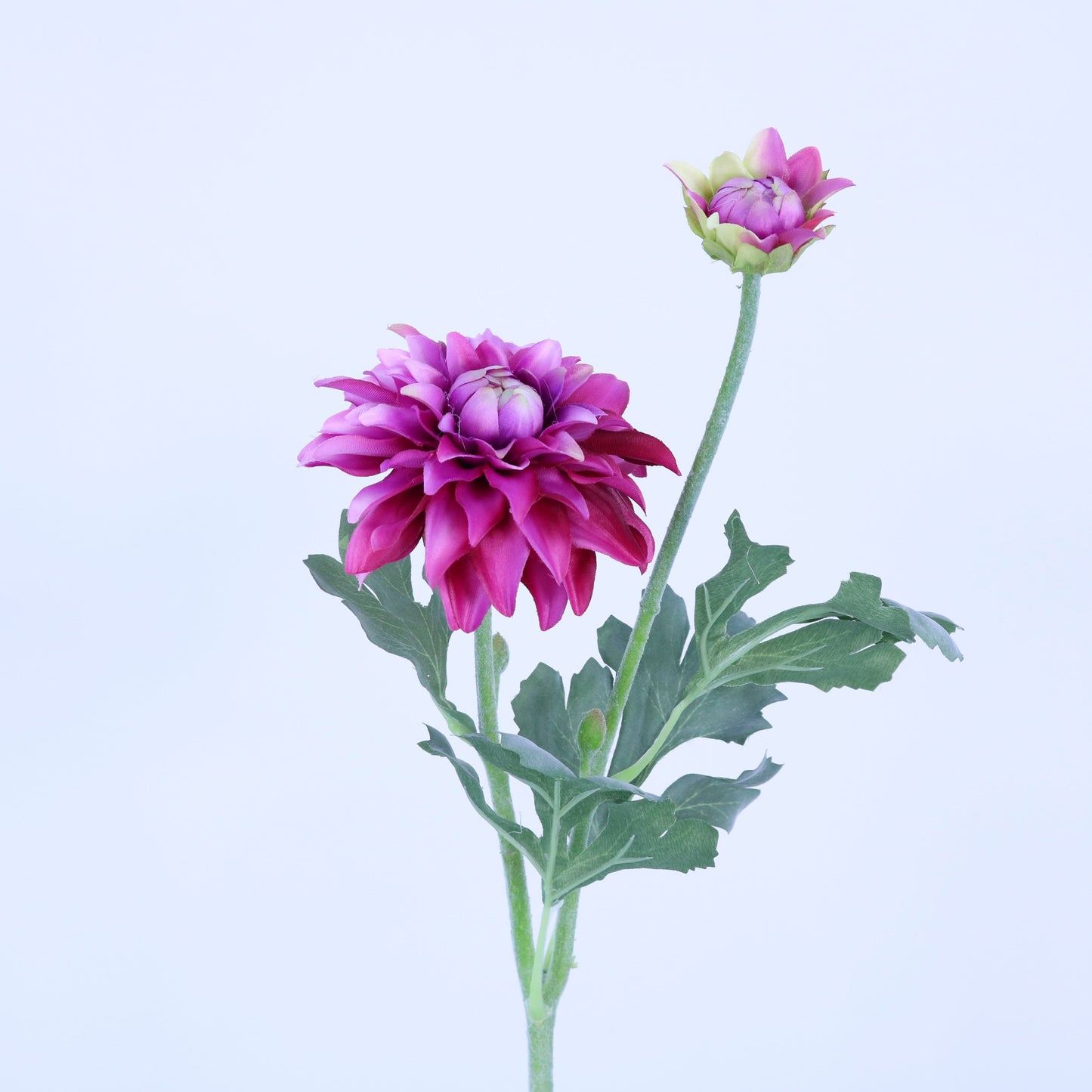 FL12033 DAHLIA SPRAYx1F1B,22.5in-24P/240
