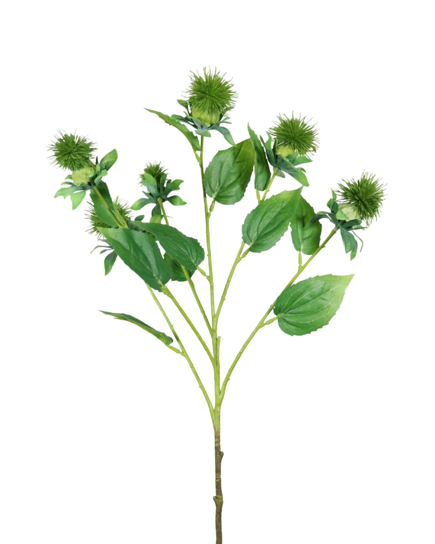 FL12071 SAFFLOWER SPRAYx6,31in-12P/144/9'