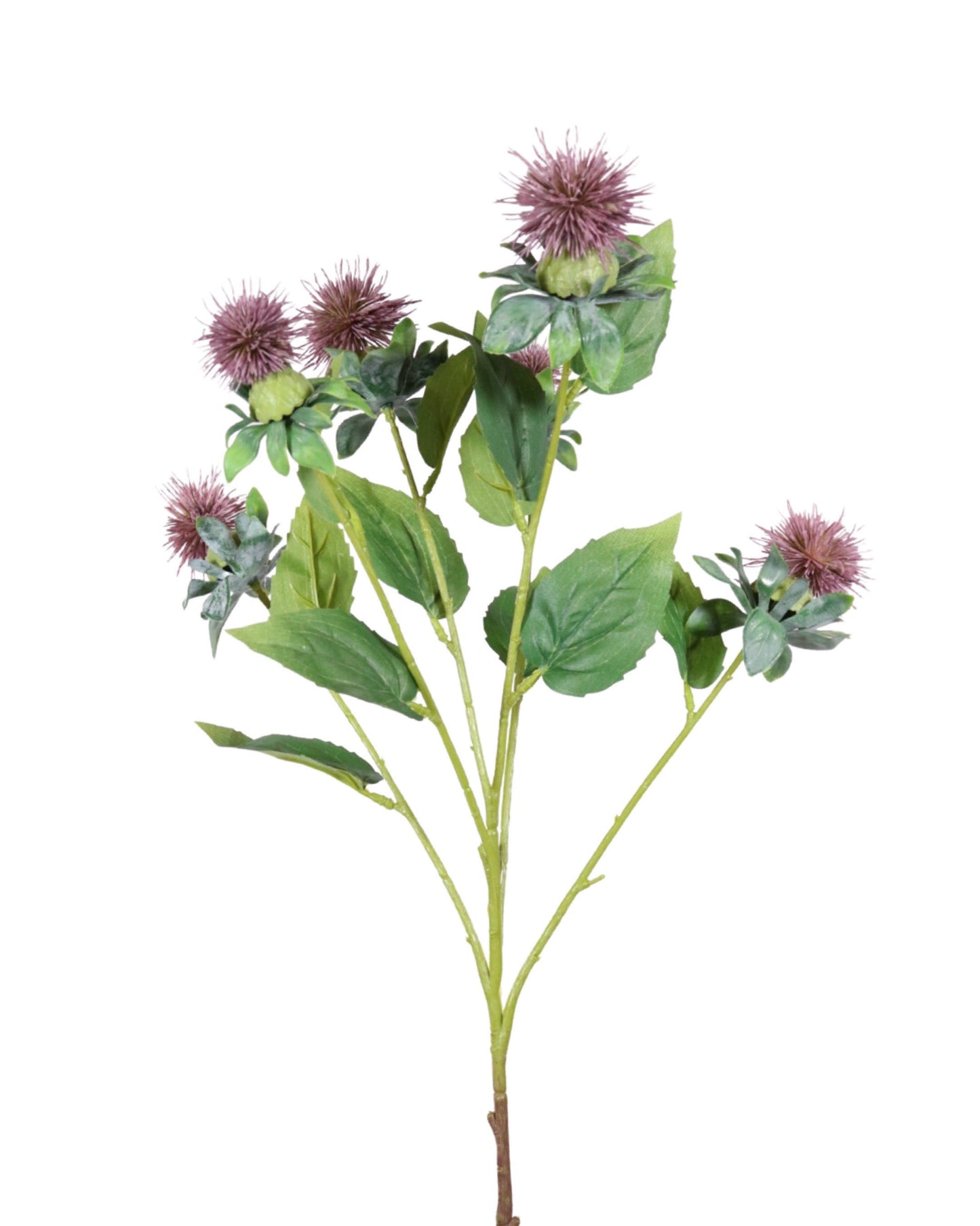 FL12071 SAFFLOWER SPRAYx6,31in-12P/144/9'