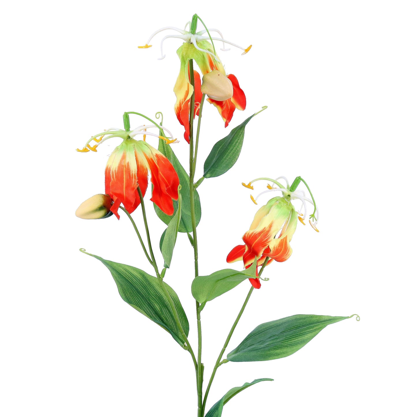 FL12072 GLORIOSA SPRAYx3F2B,33in-12P/120