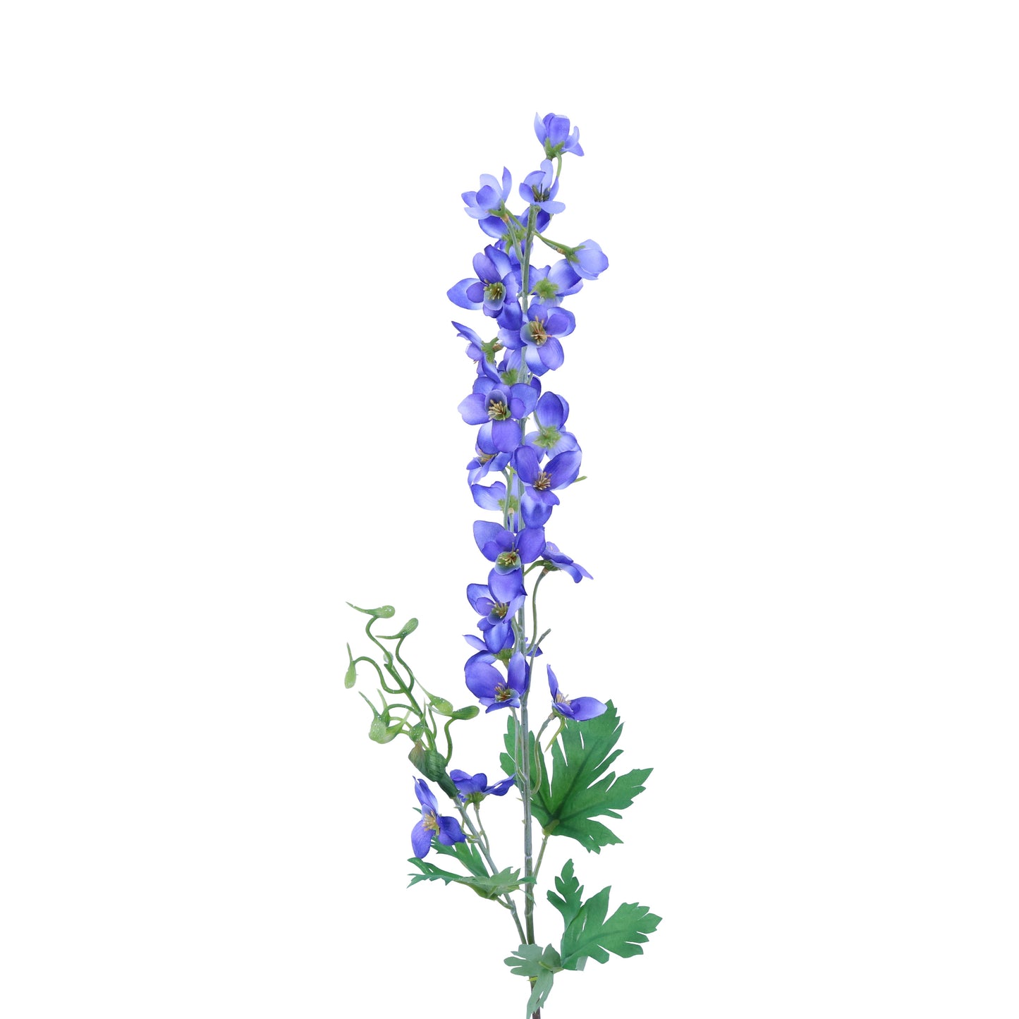 FL12073 DELPHINIUM SPRAYx2,31in-12P/168