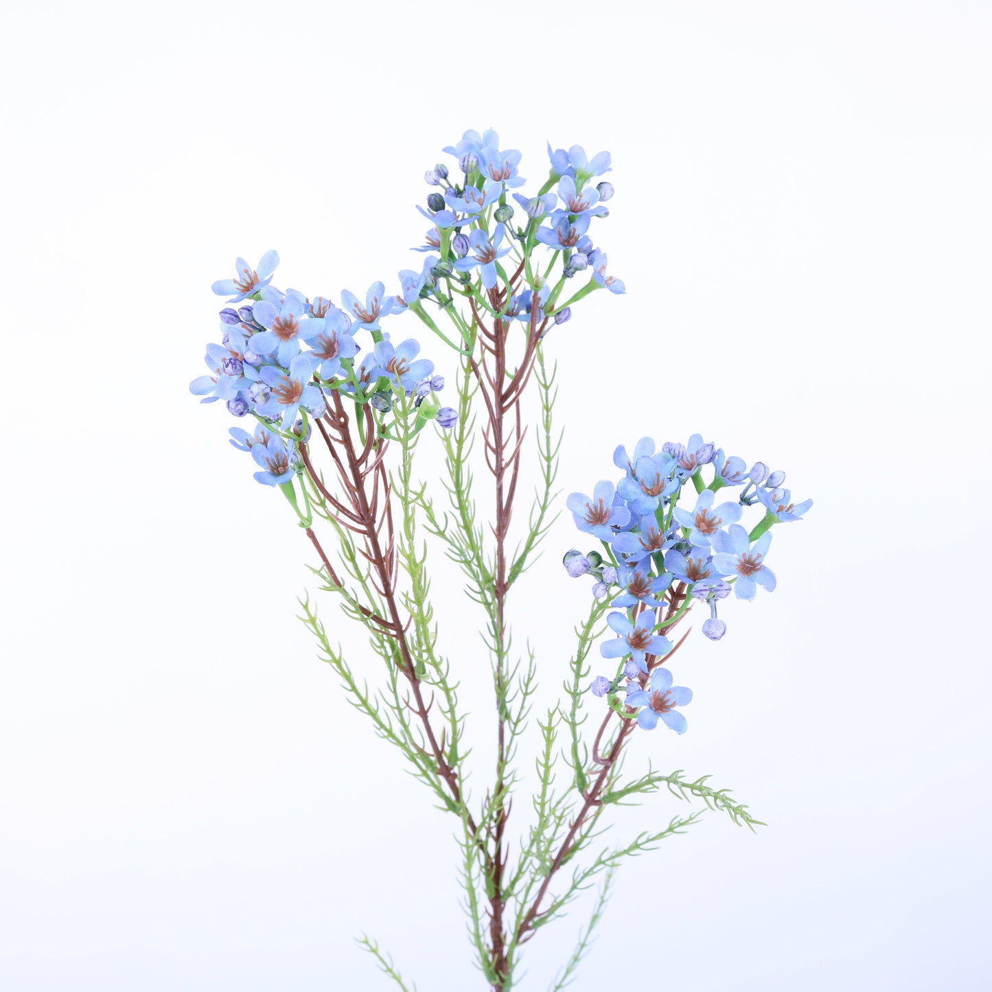 FL12074 WAX FLOWER SPRAY,31in-24P/192/7.09'
