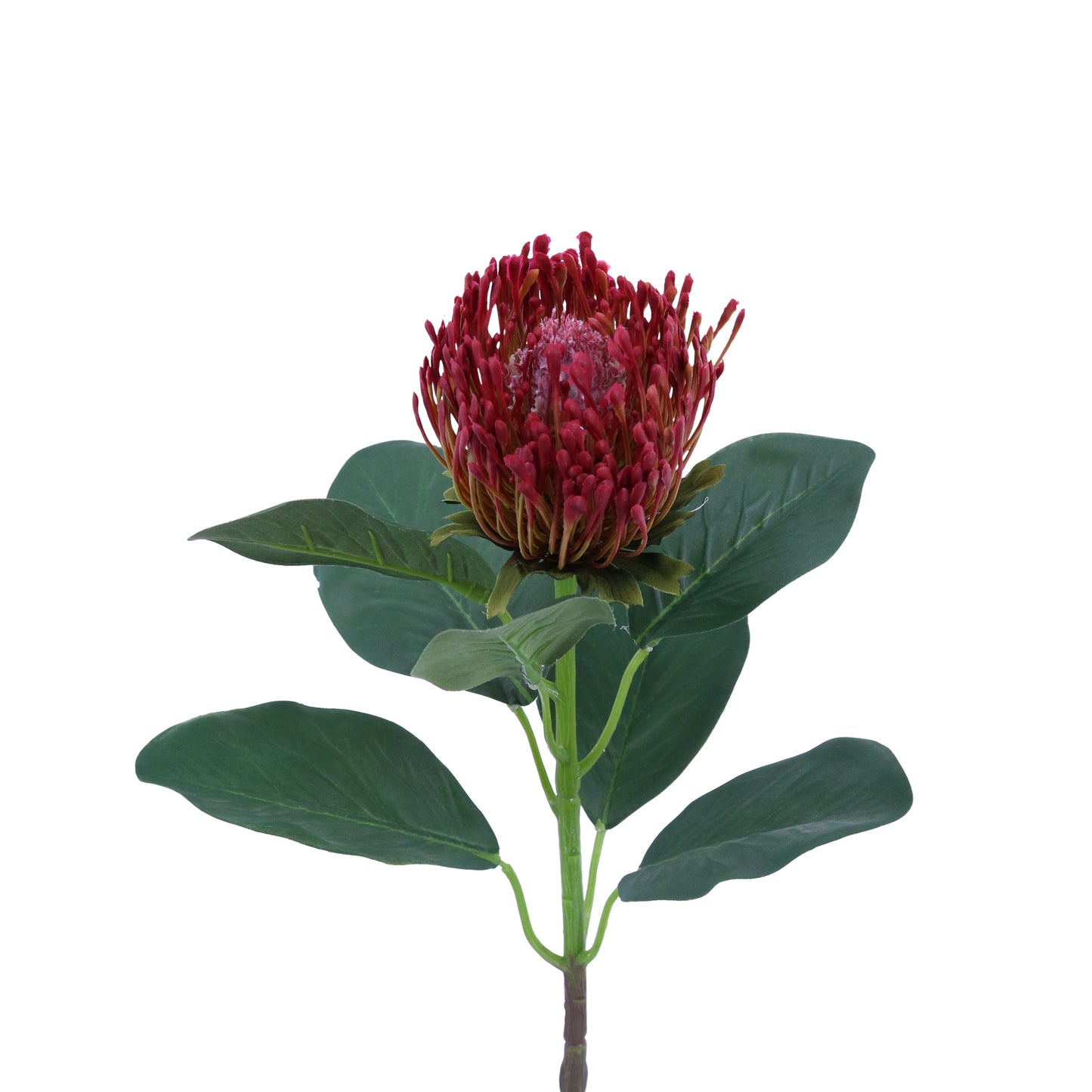 FL13084 NEEDLE PROTEA SPRAY,26in-24P/144/9