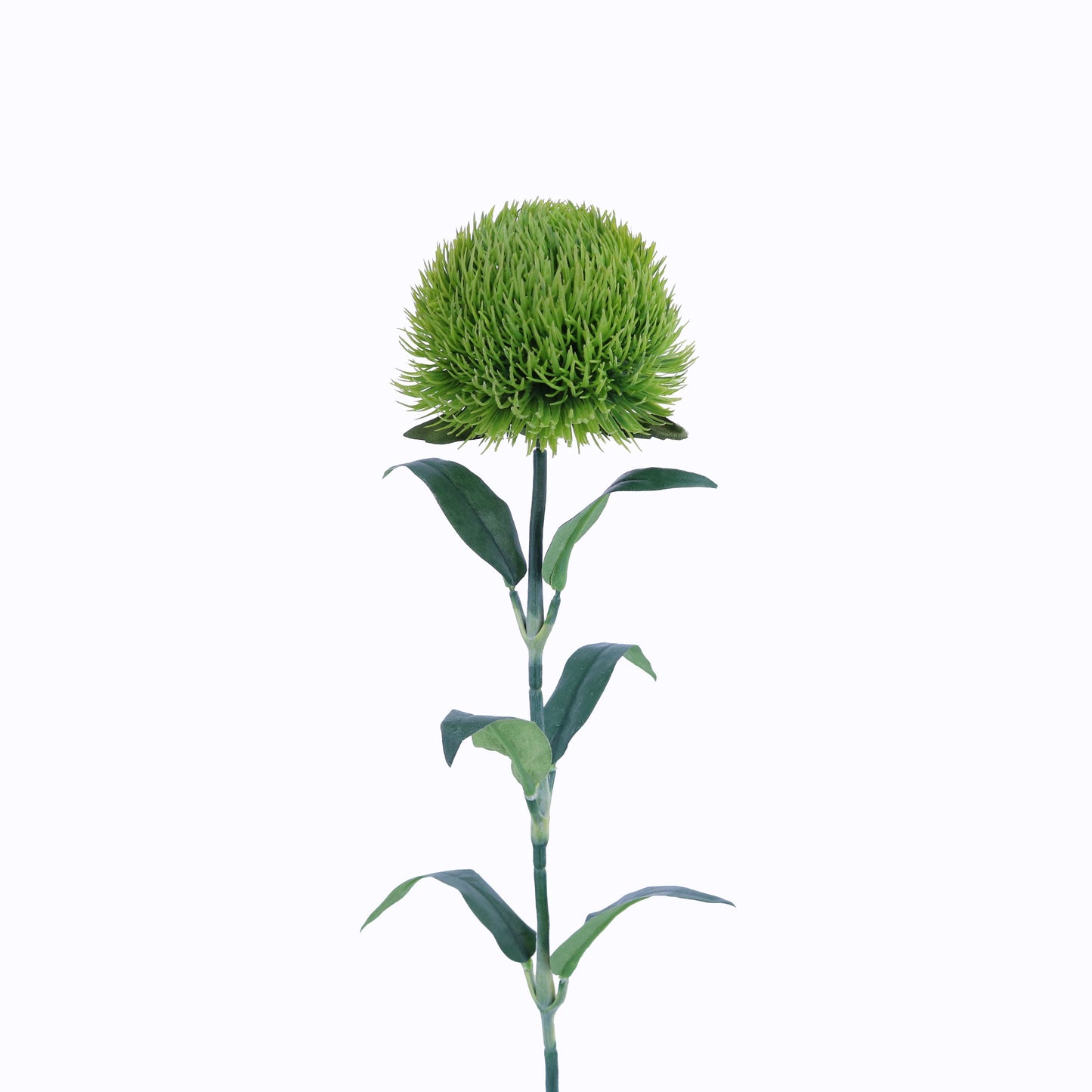 FL13086 DIANTHUS SPRAY,21in-24P/192/4.32'