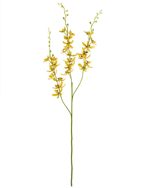 FL13092 MINI CYMBIDIUM SPx3,37.5"