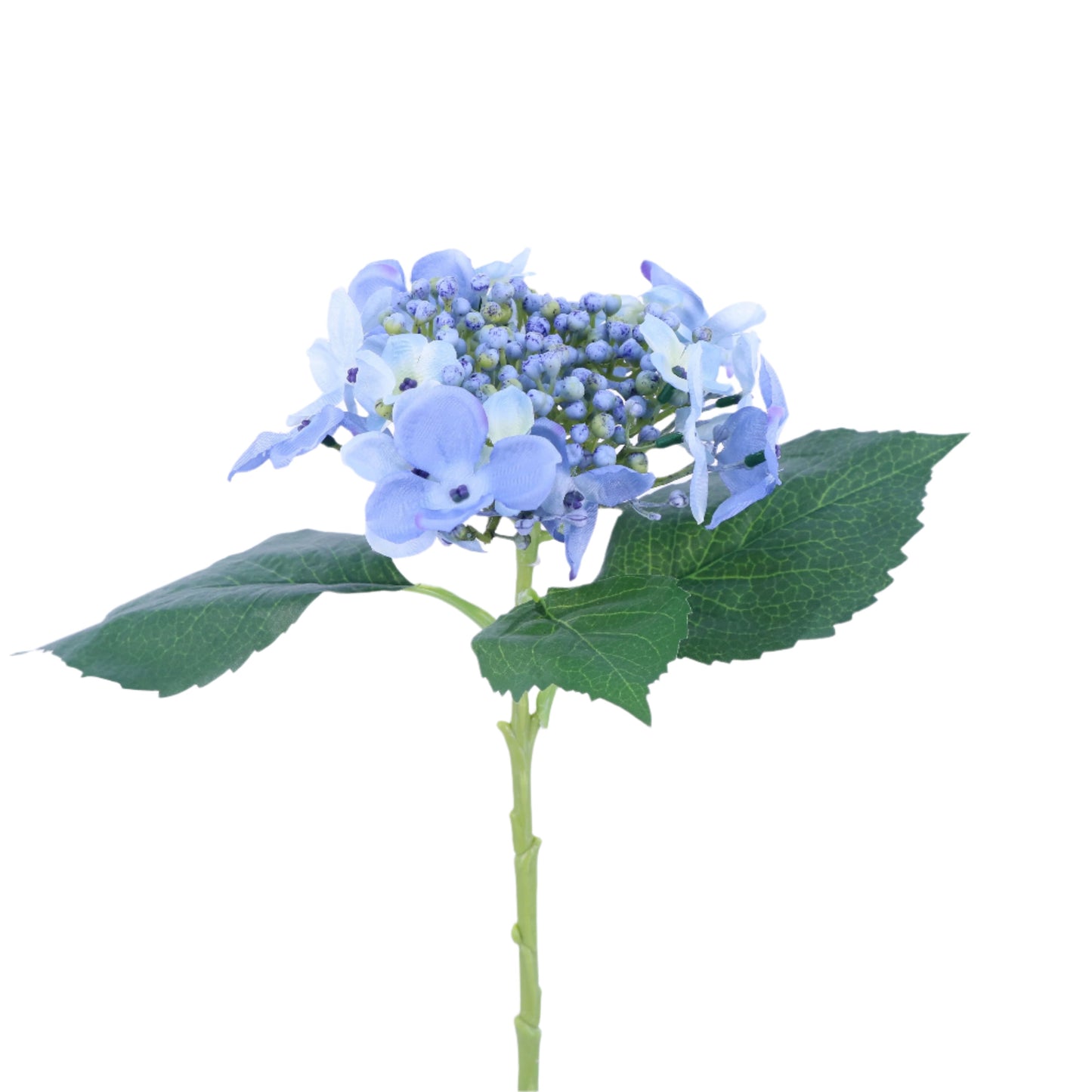 FL13093 BUDDING HYDRANGEA SP,17.5in-12P/144