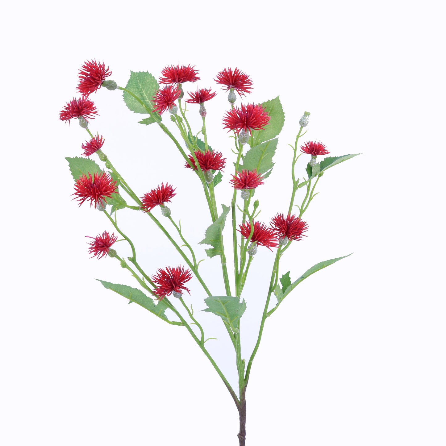 FL13099 SWEET DAISY SPRAY,28.9in-24P/192 *