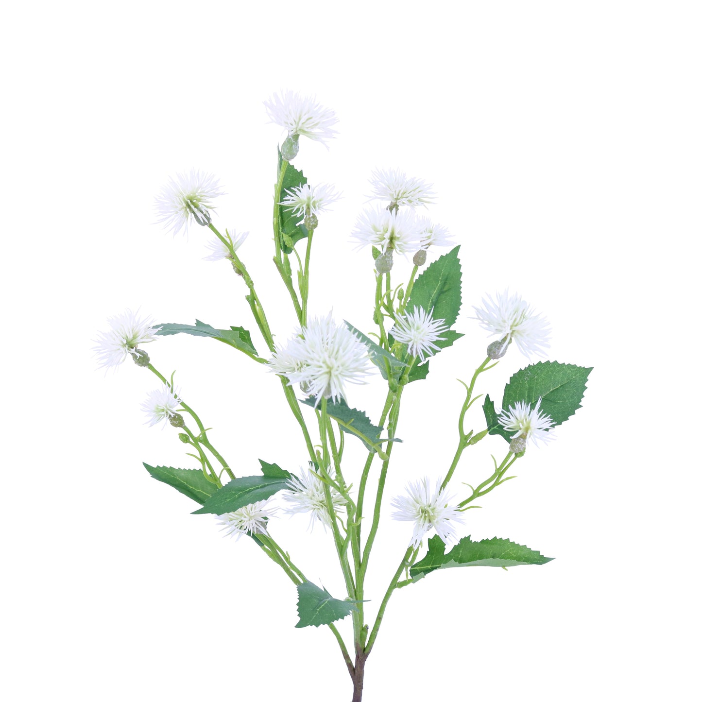 FL13099 SWEET DAISY SPRAY,28.9in-24P/192 *
