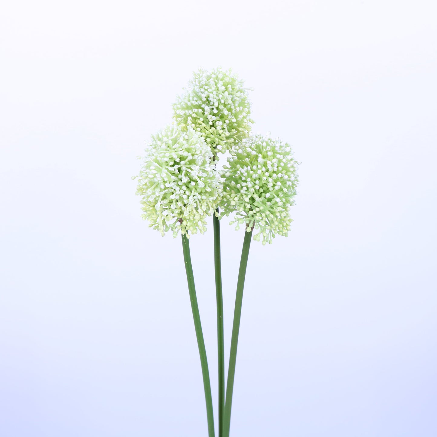 FL13109 ALLIUM BULLET BUNDLEx3,21in-12B/180