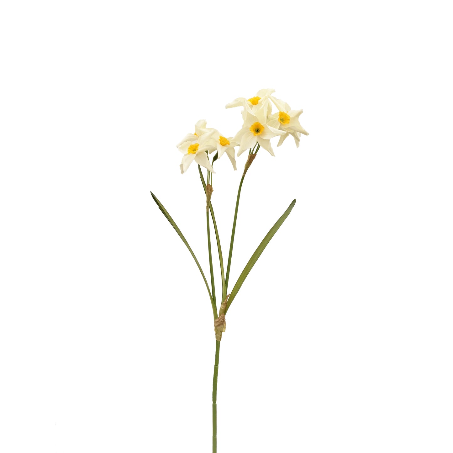 FL13181 NARCISSUSx6 w/2 BUD, 26"
