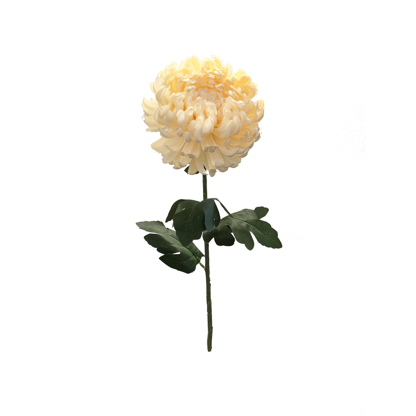 FL13257 MUM SPRAY