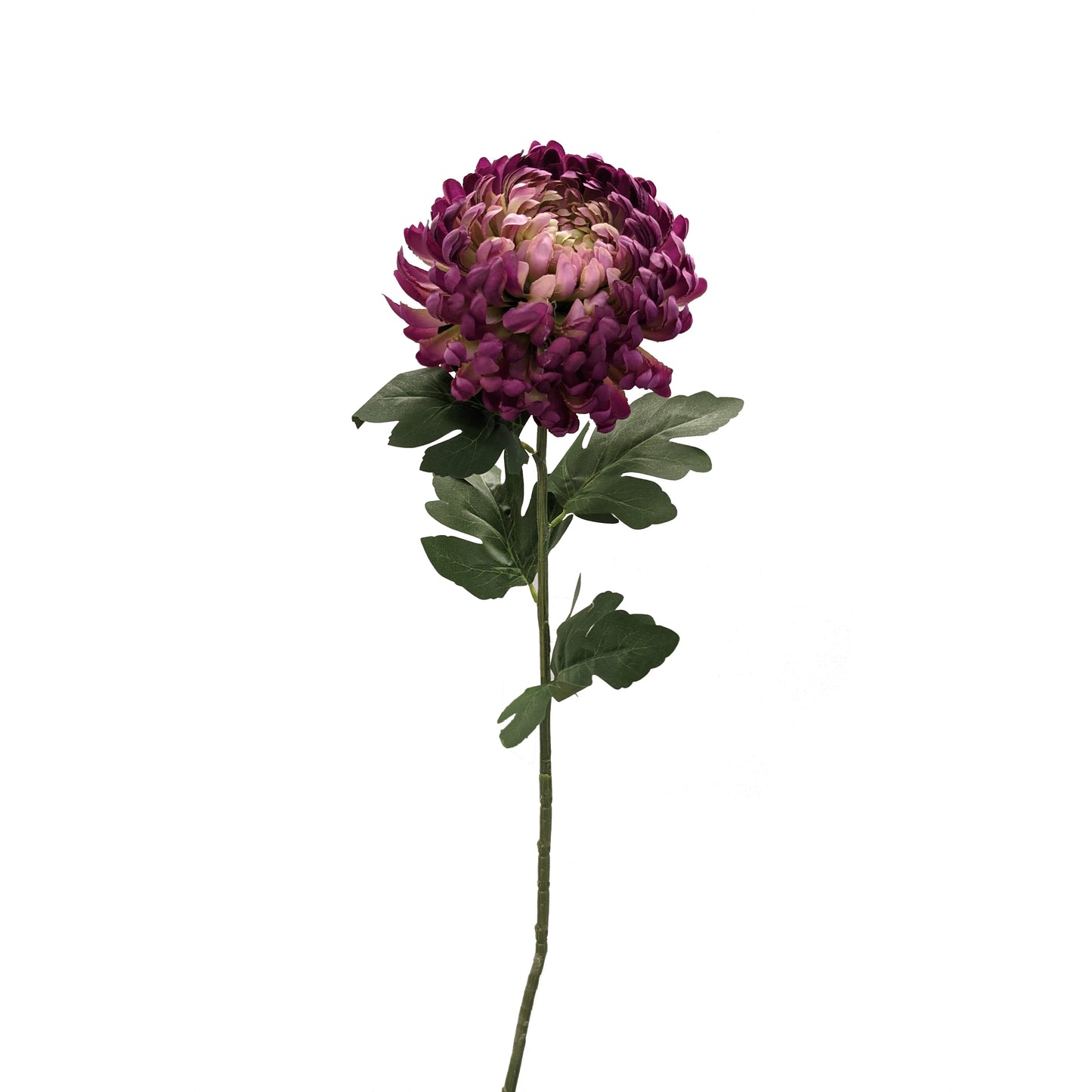 FL13257 MUM SPRAY