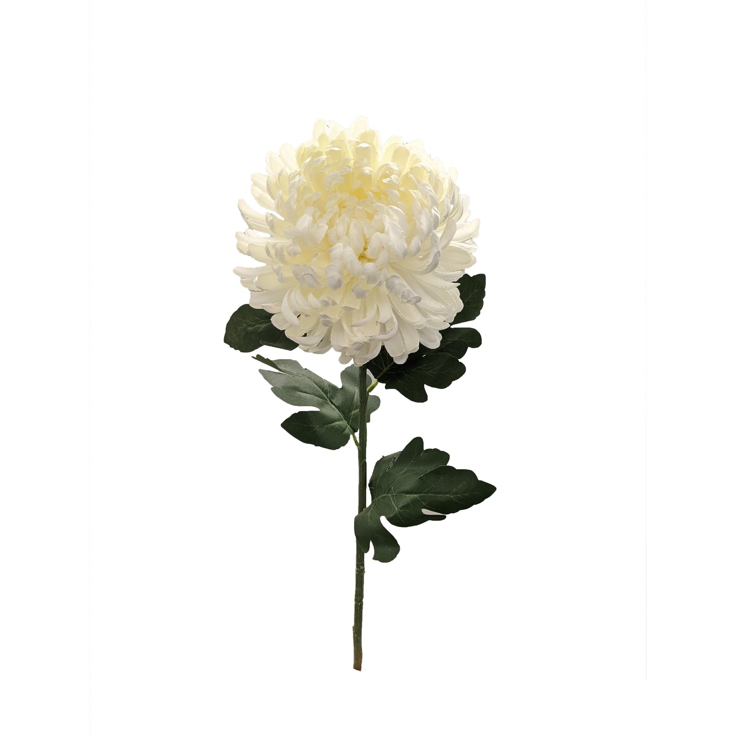 FL13257 MUM SPRAY