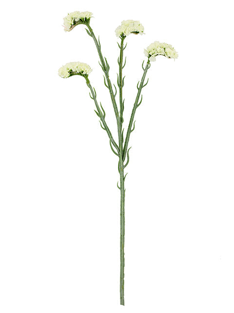 FL13262 STATICE SPRAYx4F,25"