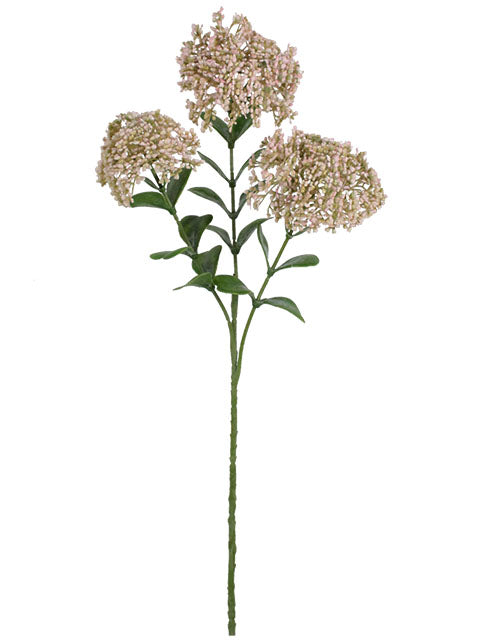 FL13264 BLOOMING SEDUM SPRAYx3F,23"
