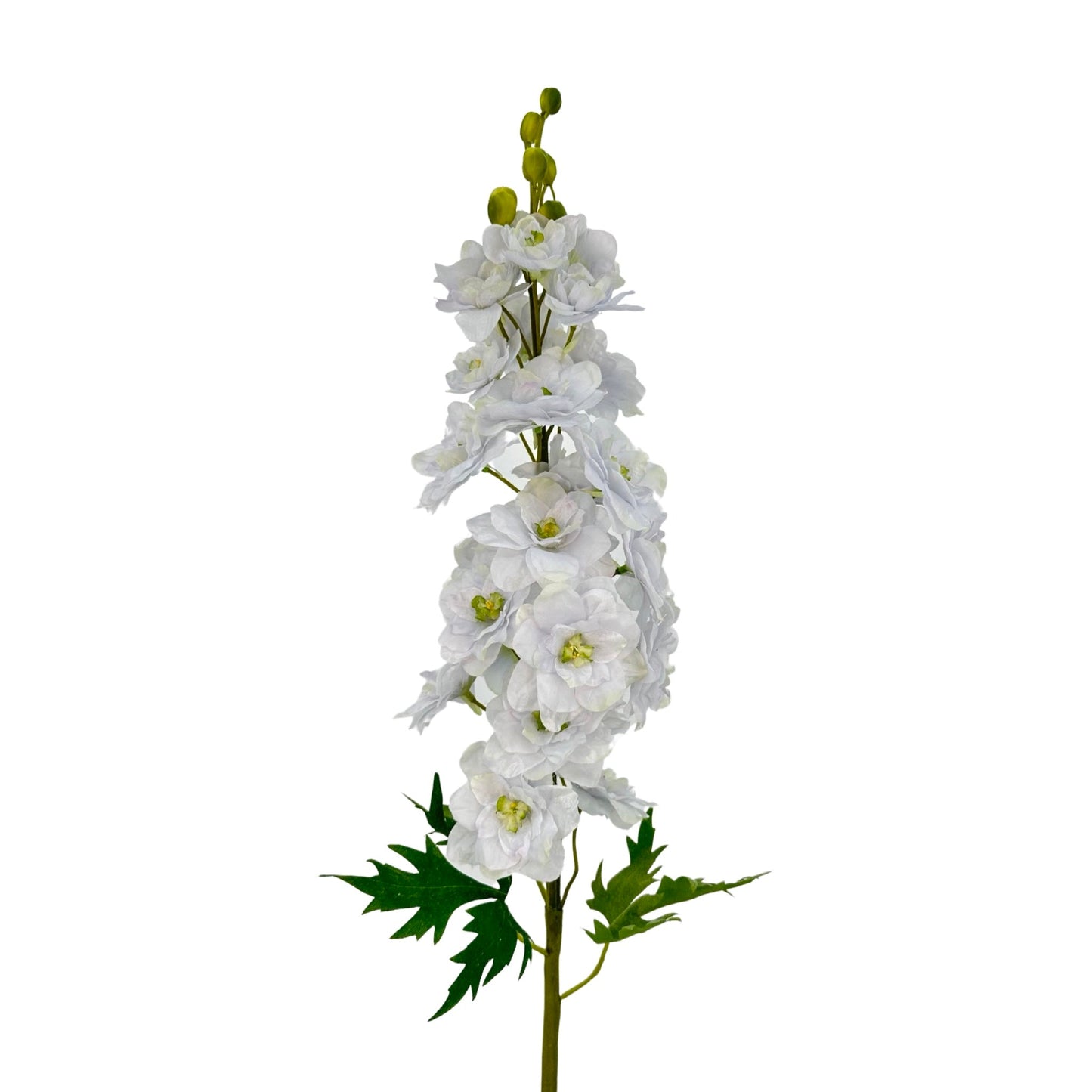 FL13282 DELPHINIUM,42"