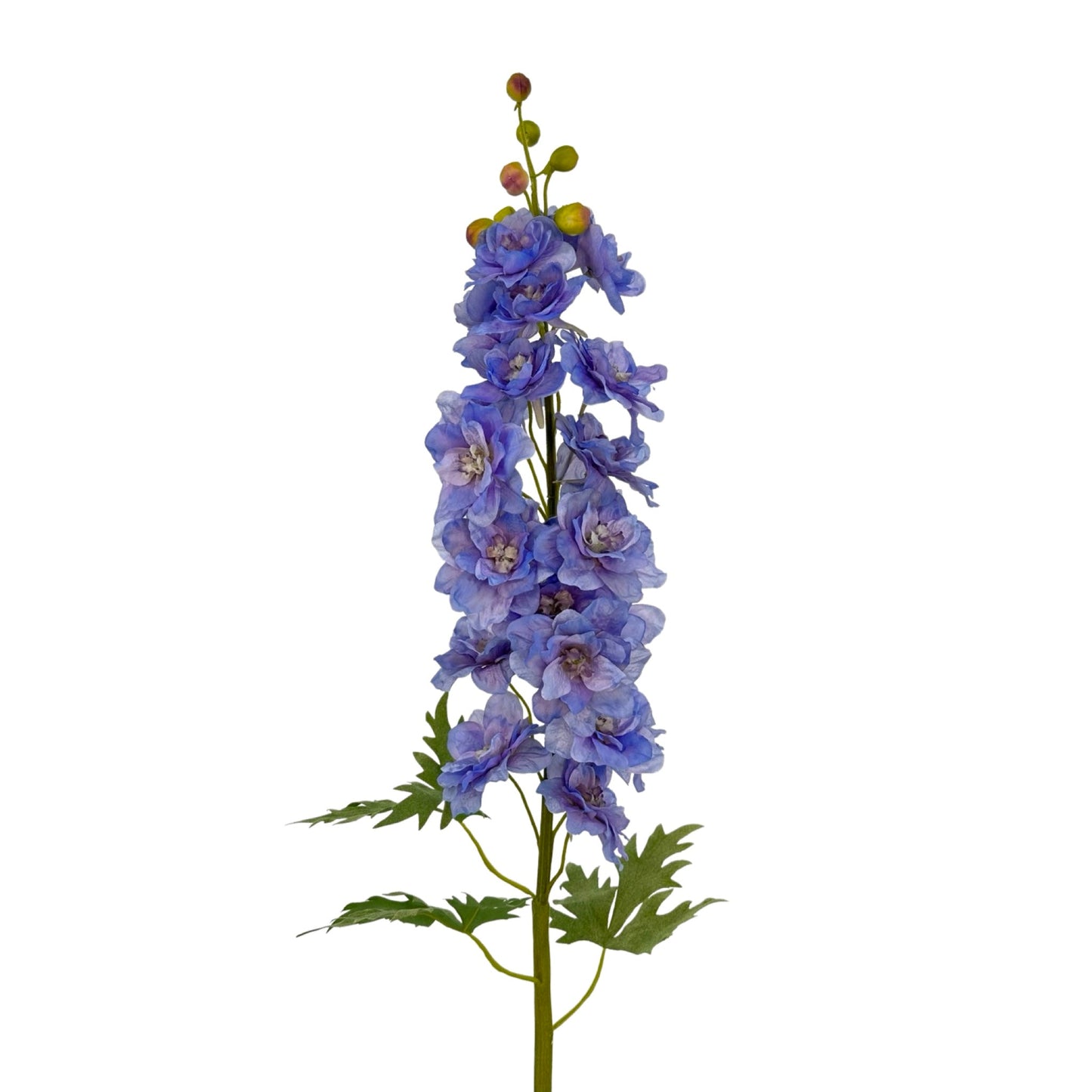 FL13282 DELPHINIUM,42"