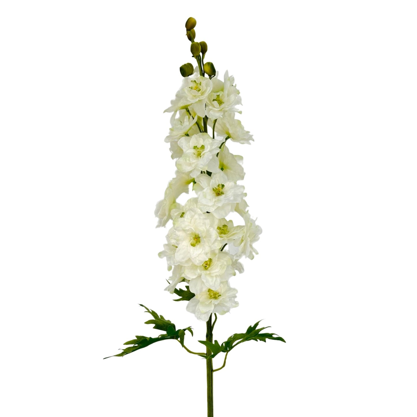 FL13282 DELPHINIUM,42"