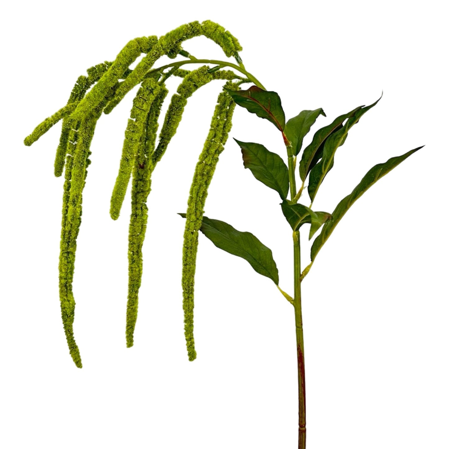 FL13288 WEEPING AMARANTH,43"