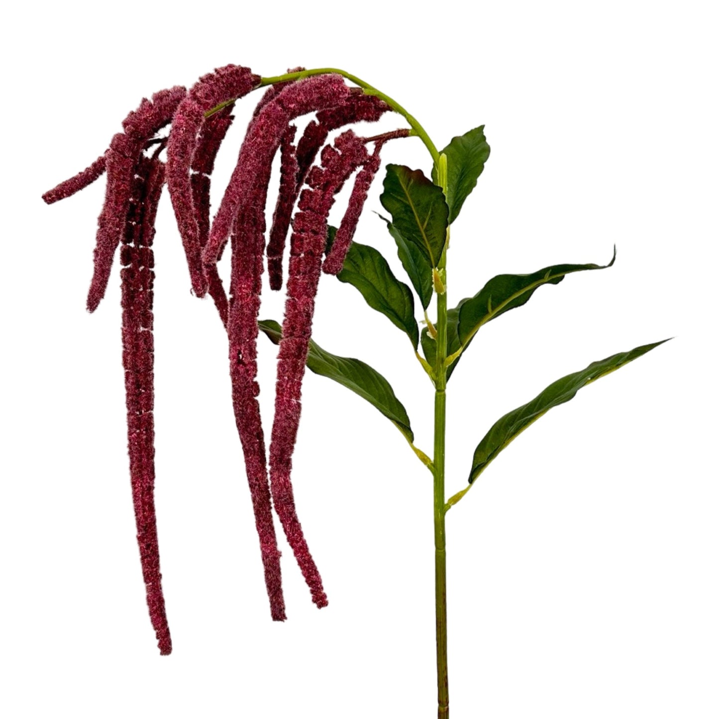 FL13288 WEEPING AMARANTH,43"