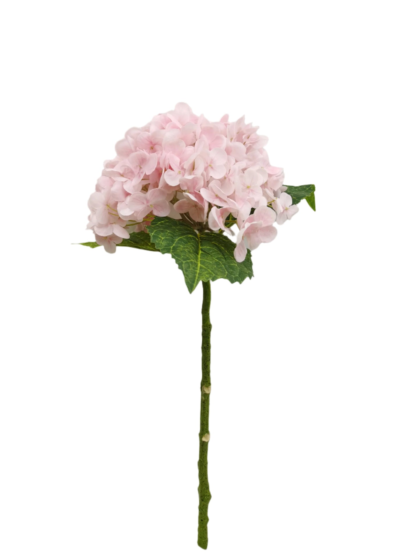 FL13302 HYDRANGEA (NAT),20.5"