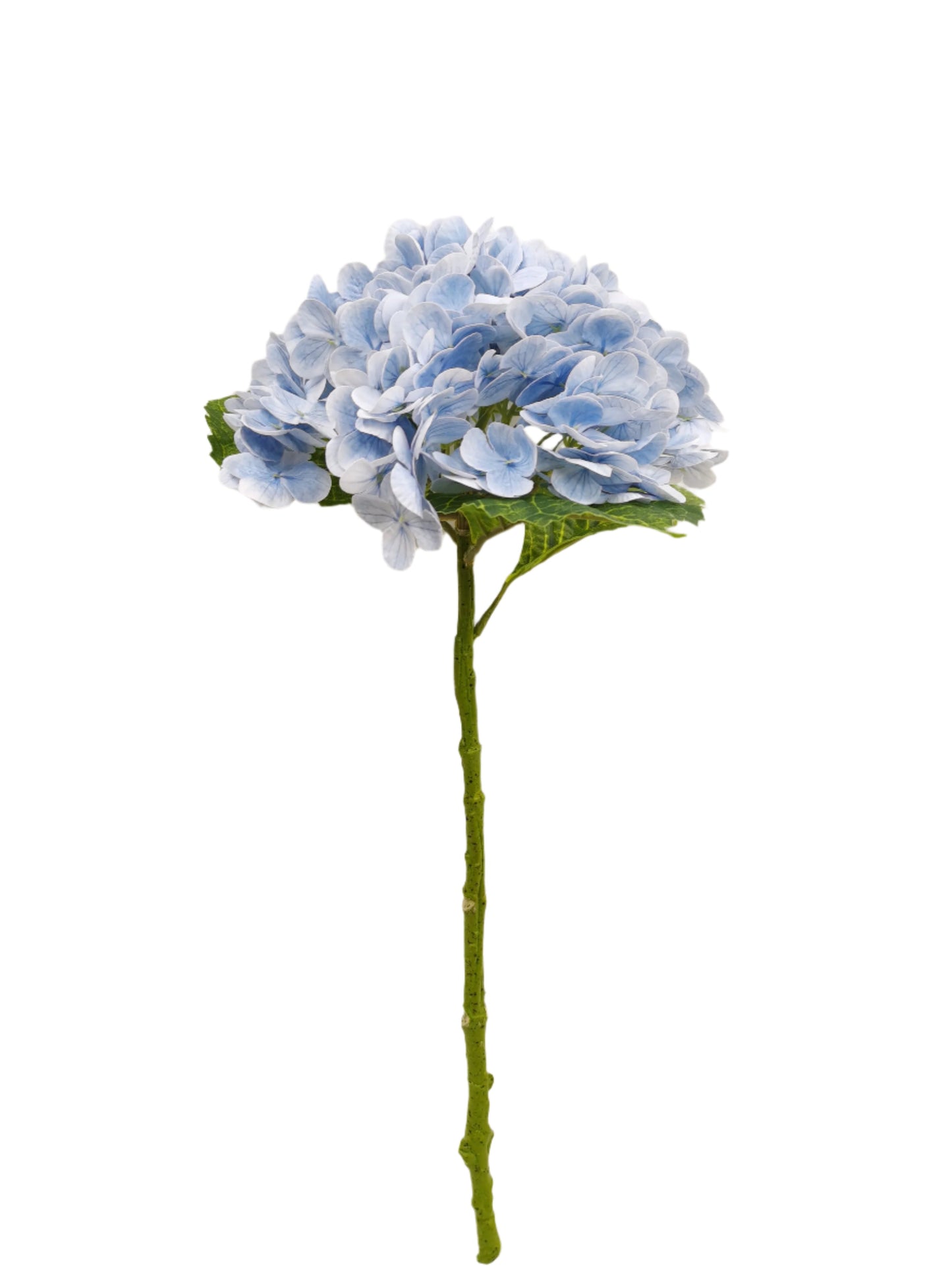 FL13302 HYDRANGEA (NAT),20.5"