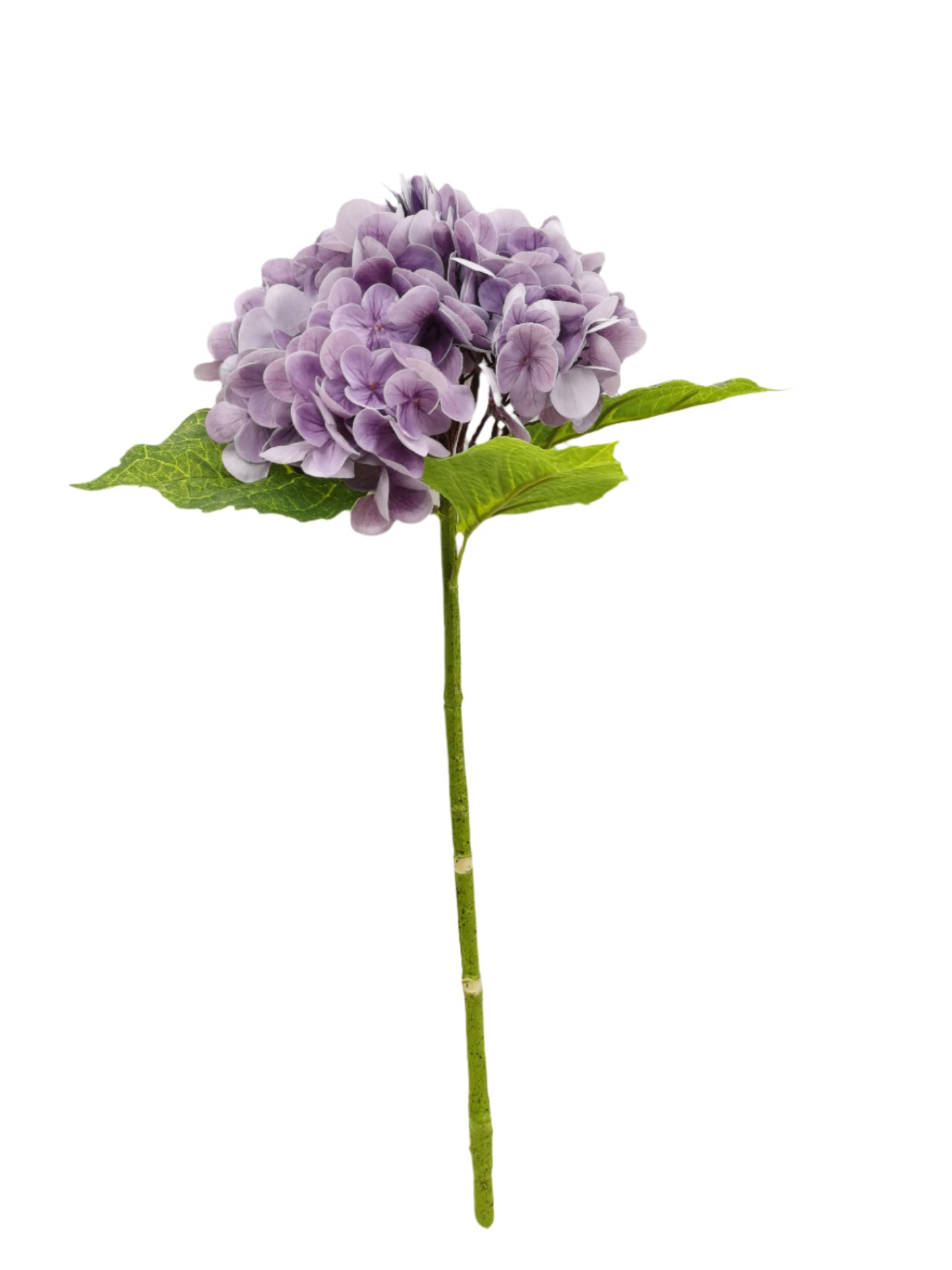 FL13302 HYDRANGEA (NAT),20.5"