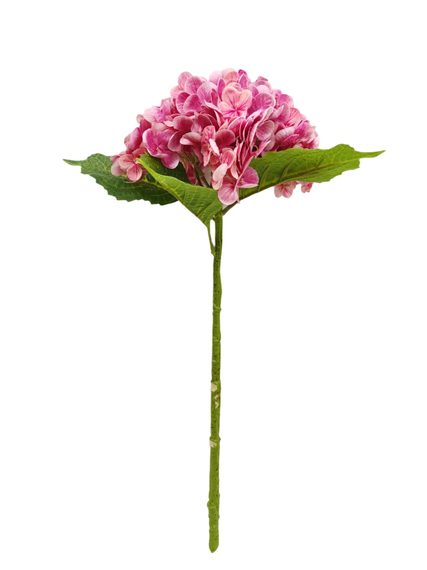 FL13302 HYDRANGEA (NAT),20.5"