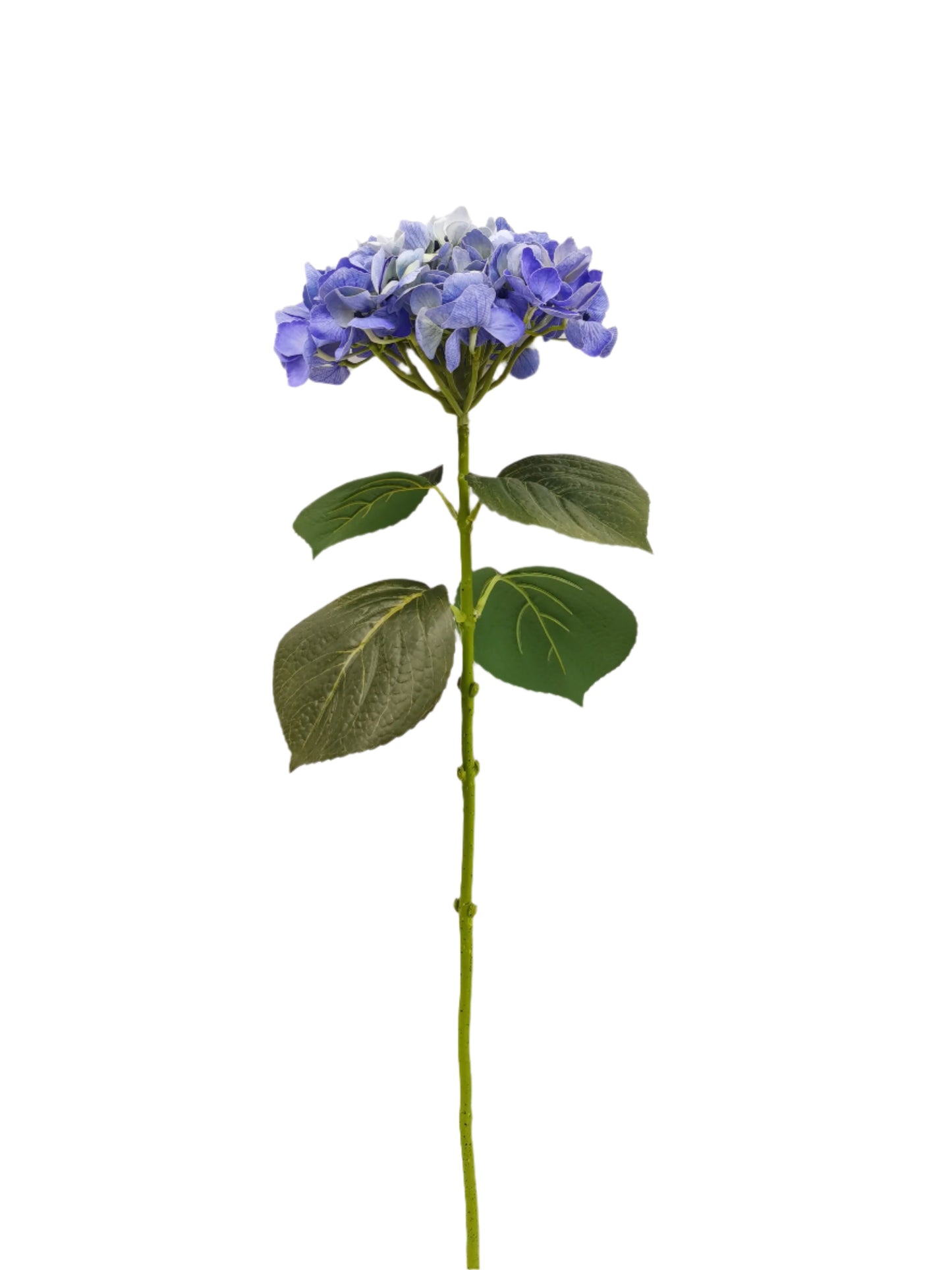 FL13303 HYDRANGEA (NAT) 26in-12/144P