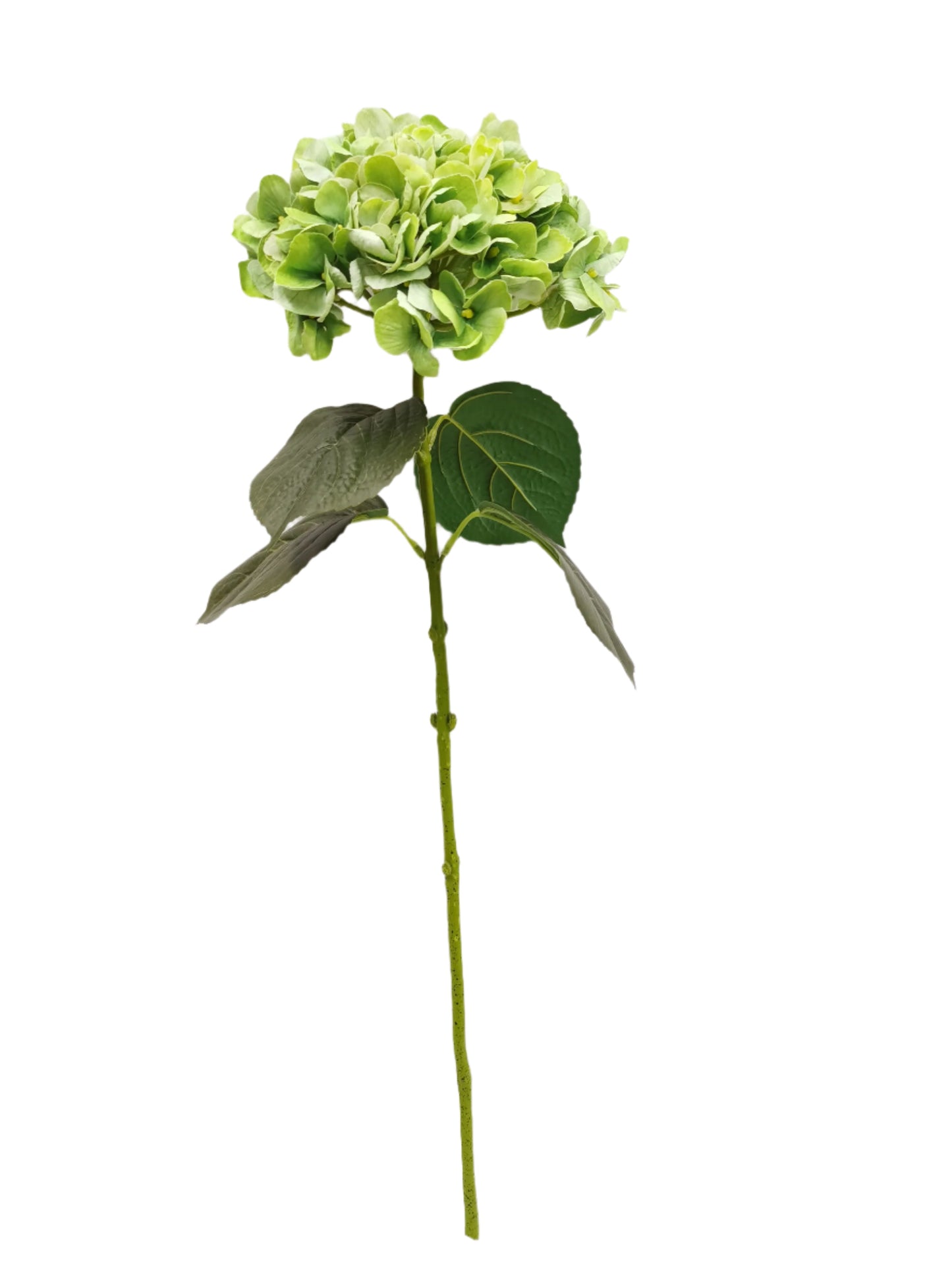 FL13303 HYDRANGEA (NAT) 26in-12/144P