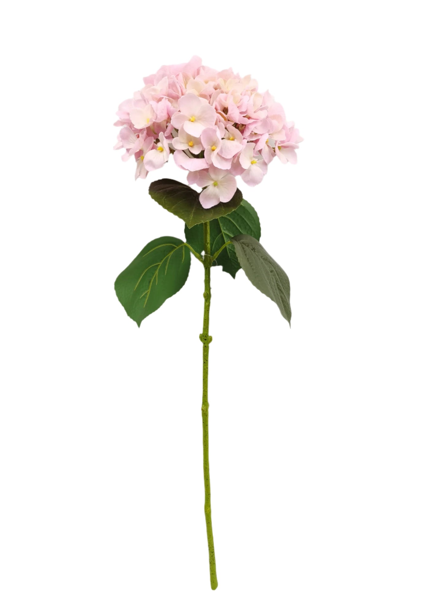 FL13303 HYDRANGEA (NAT) 26in-12/144P