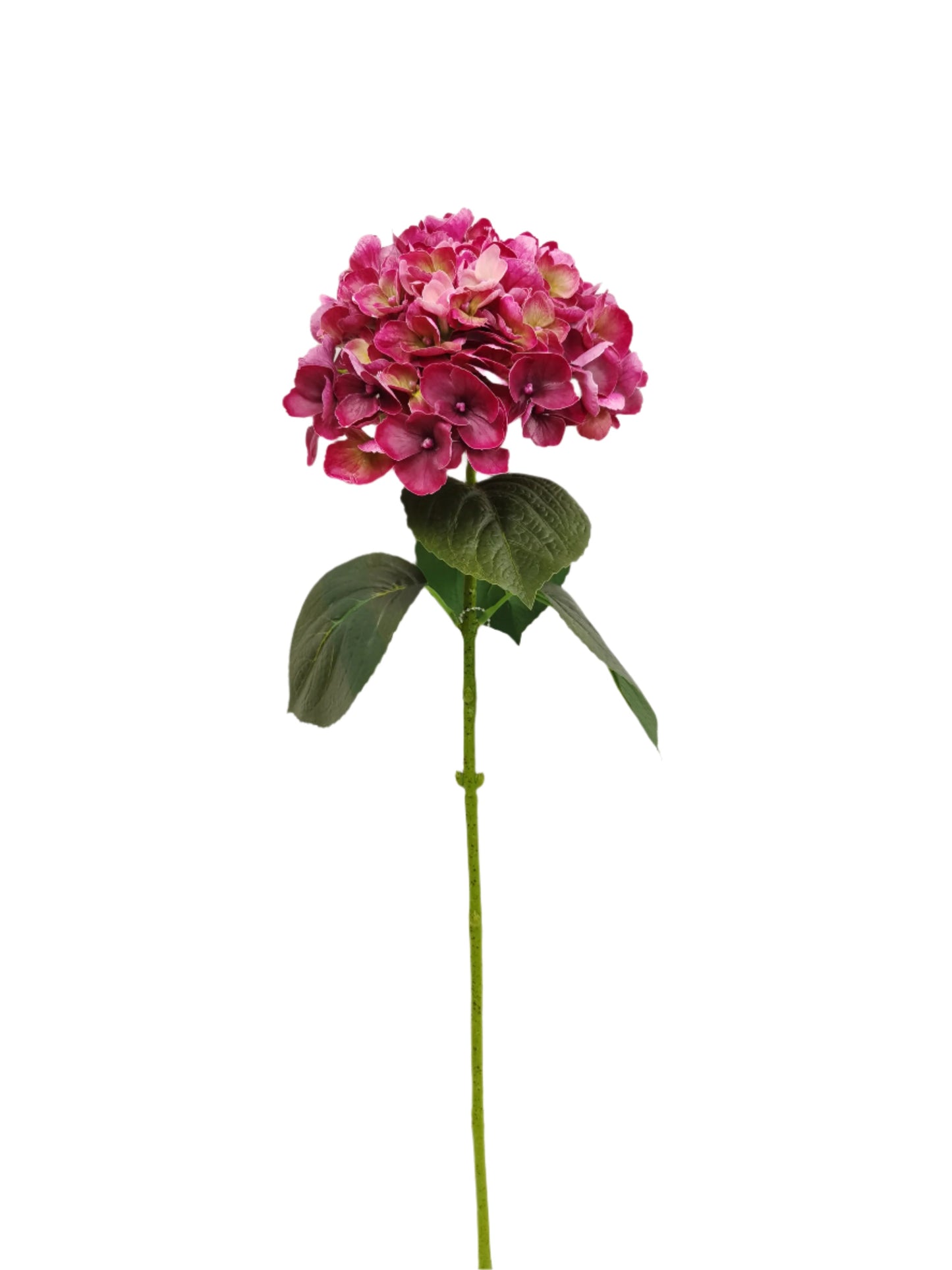 FL13303 HYDRANGEA (NAT) 26in-12/144P