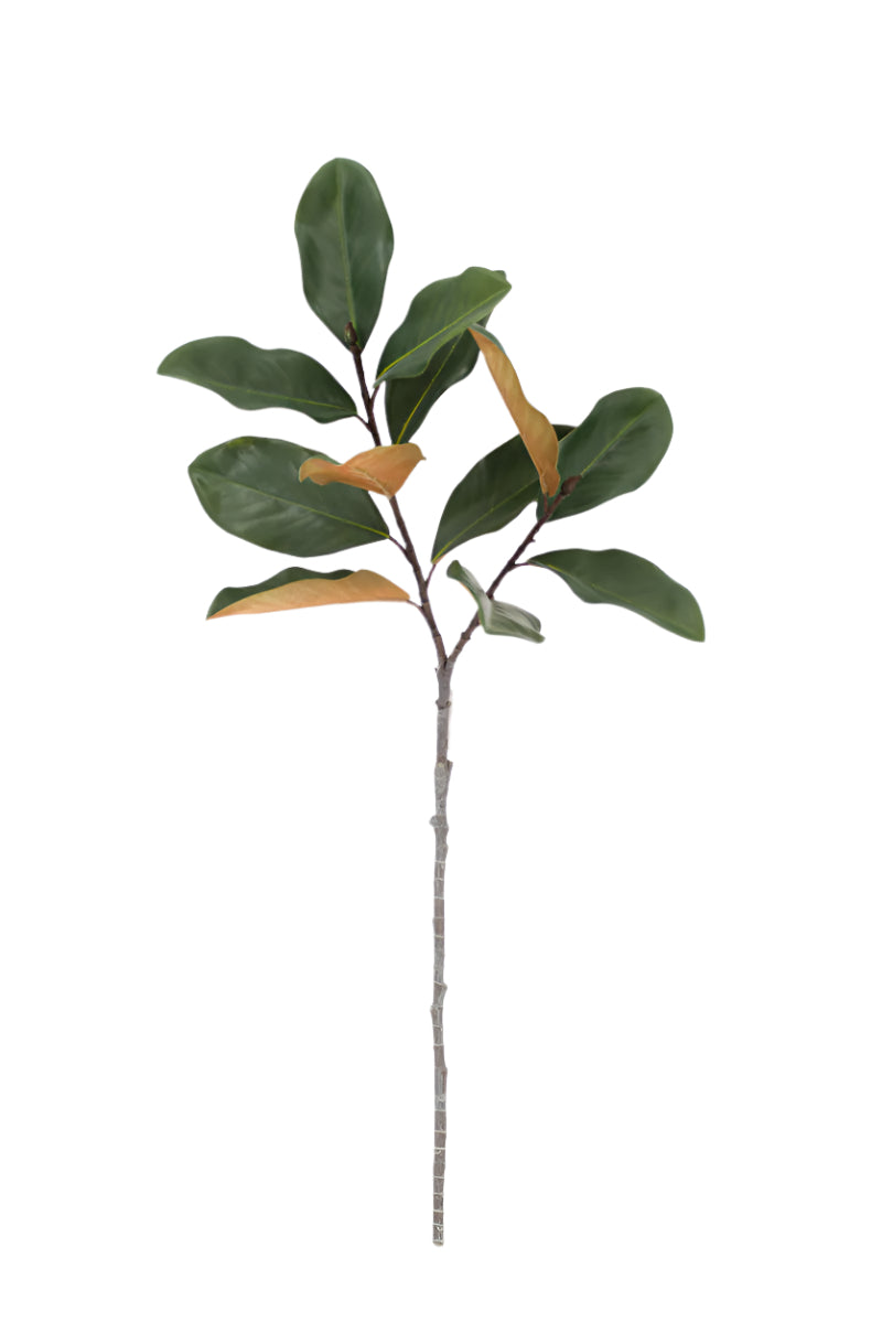 FL13407 MAGNOLIA SPRAYx12L 33.5"