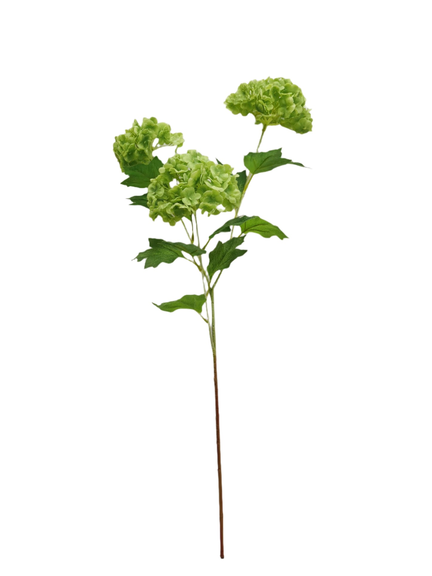 FL13411 SNOWBALL SPRAYx3F (NAT)