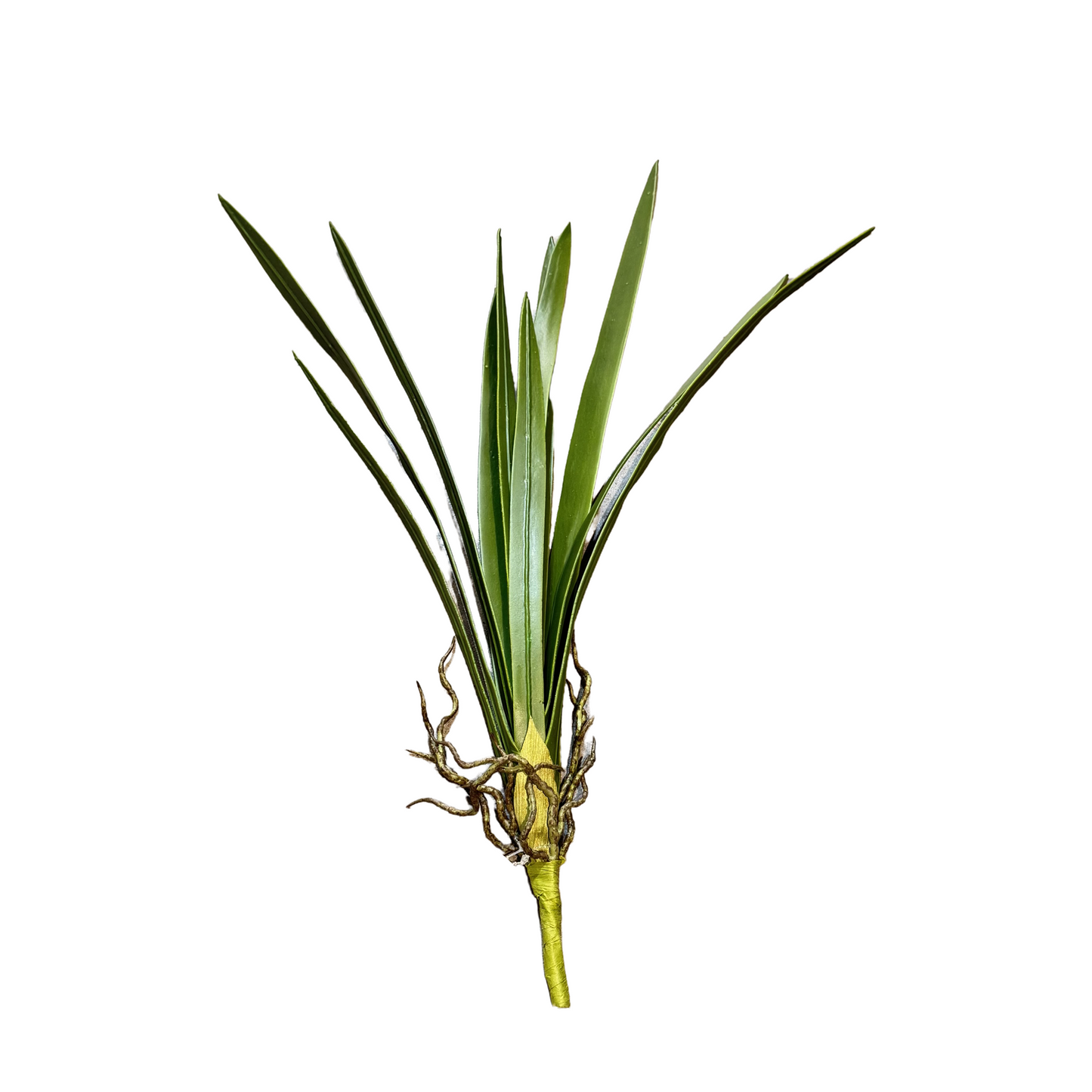 FL13568 CYMBIDIUM LVS 28"