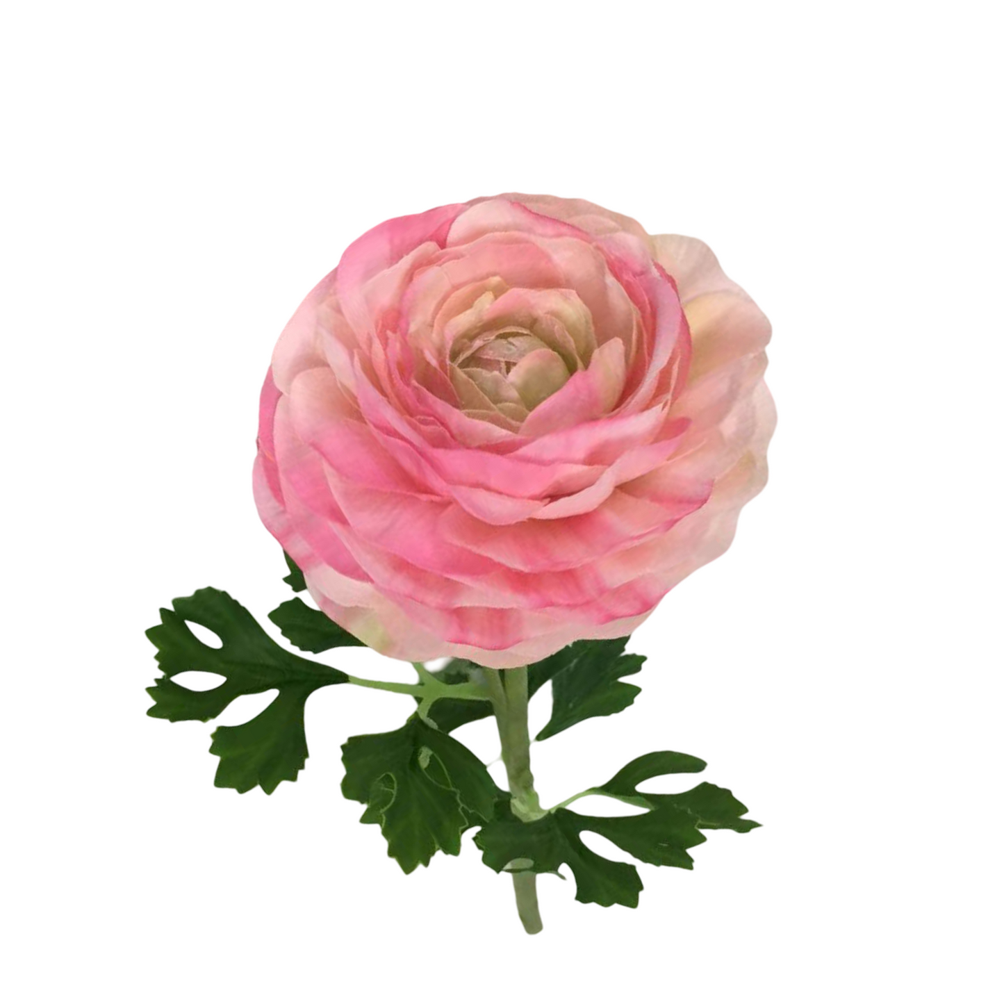 FL13591 RANUNCULUS SPRAYx2 (NAT) 18.5"