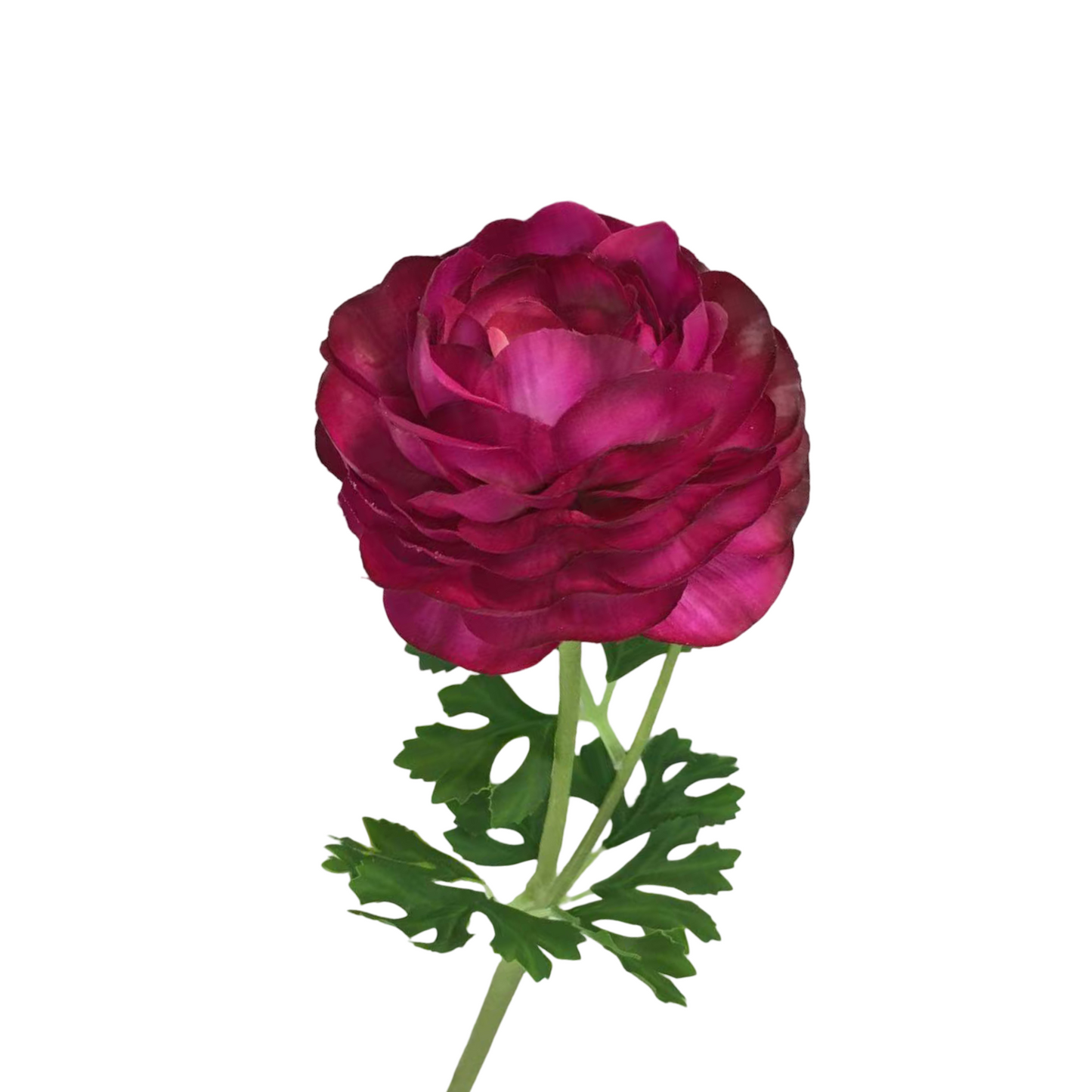 FL13591 RANUNCULUS SPRAYx2 (NAT) 18.5"