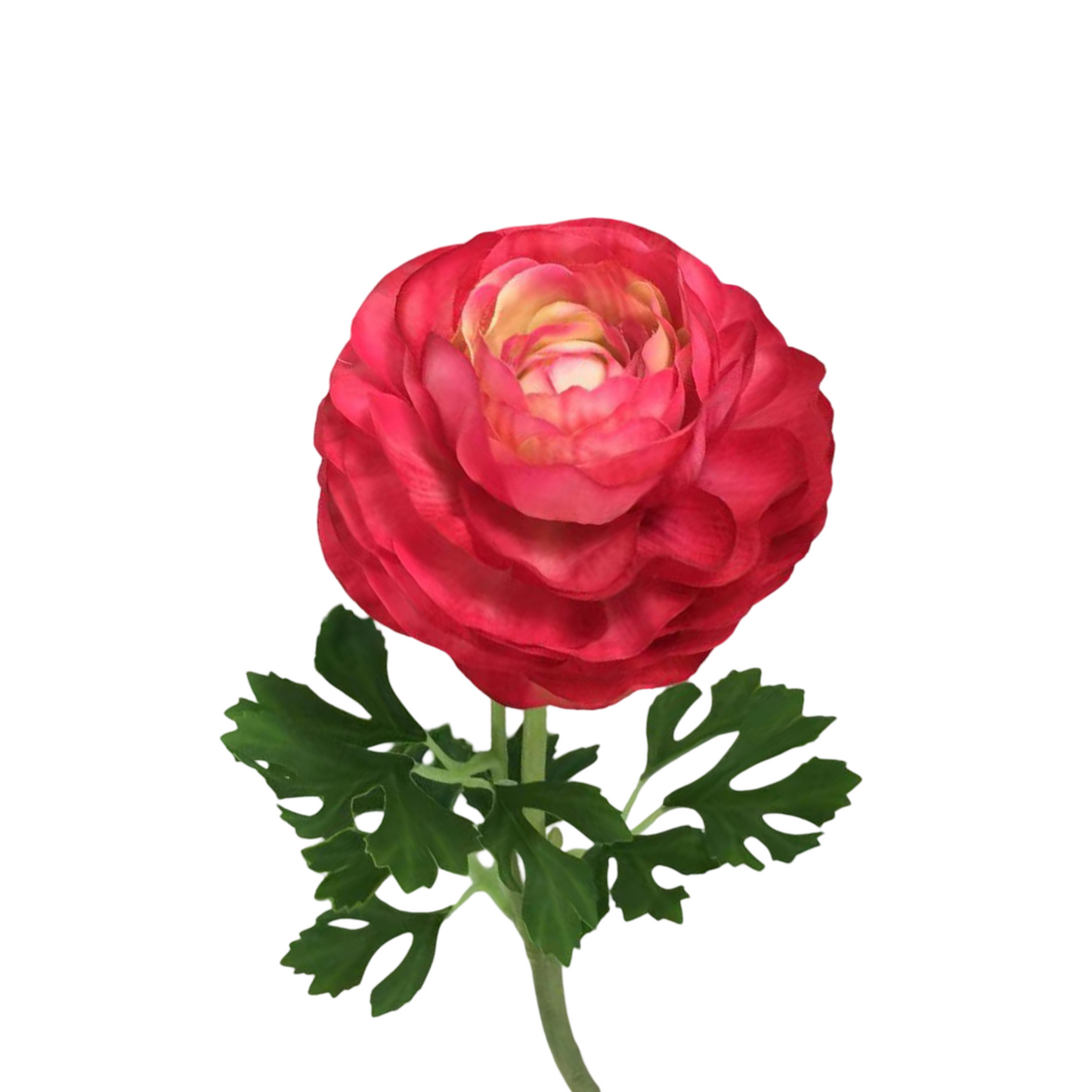 FL13591 RANUNCULUS SPRAYx2 (NAT) 18.5"