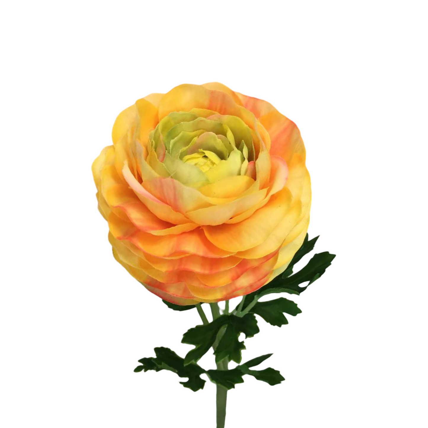 FL13591 RANUNCULUS SPRAYx2 (NAT) 18.5"