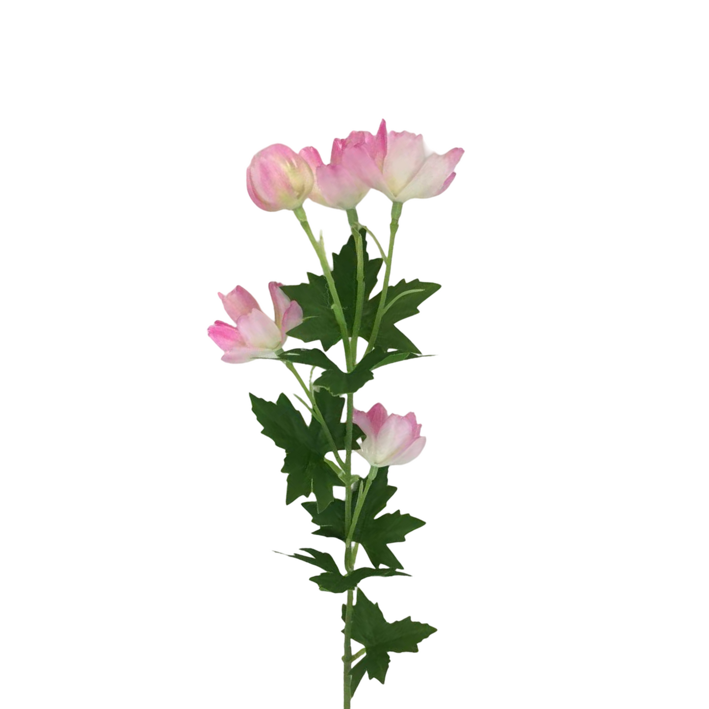 FL13592 MINI COSMOS SPRAY (NAT) 21"