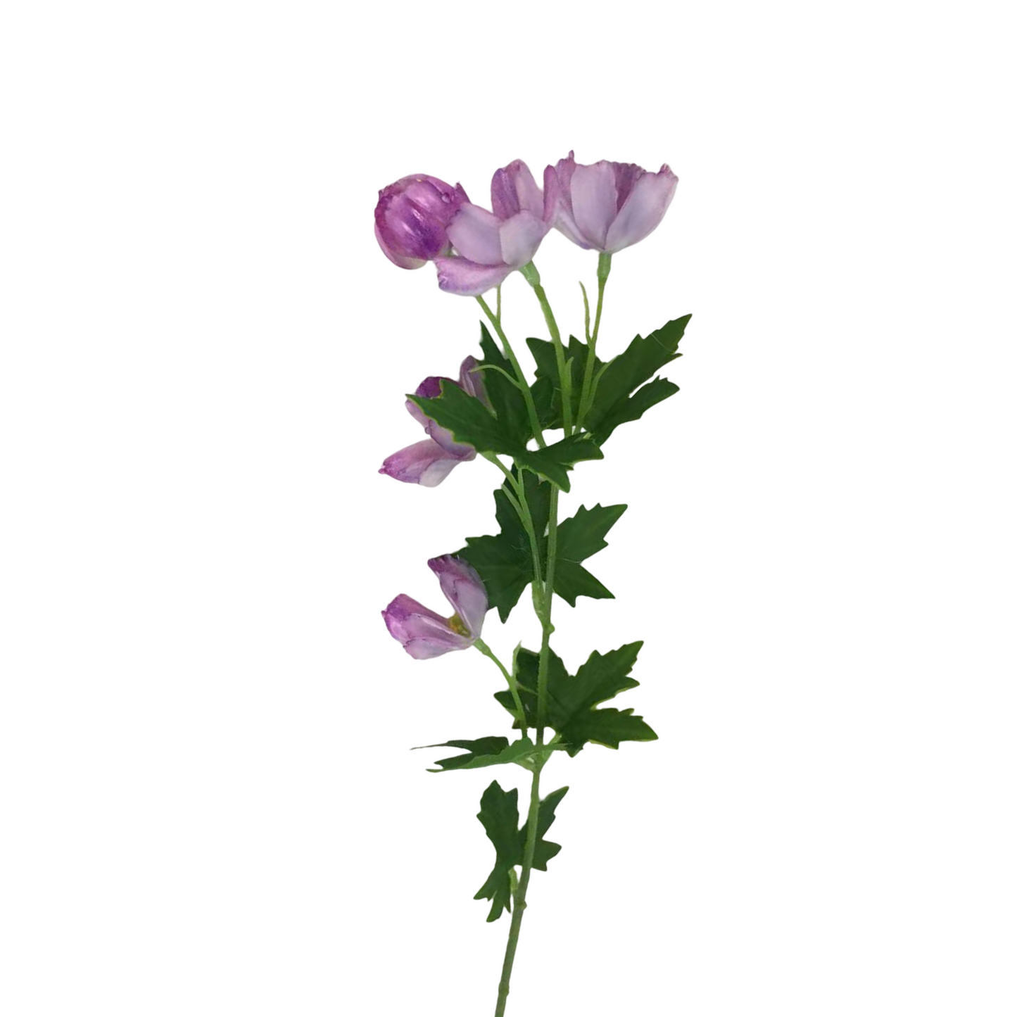 FL13592 MINI COSMOS SPRAY (NAT) 21"