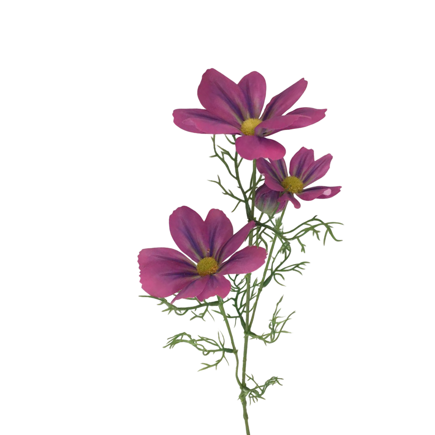 FL13593 COSMOS SPRAY (NAT) 28"