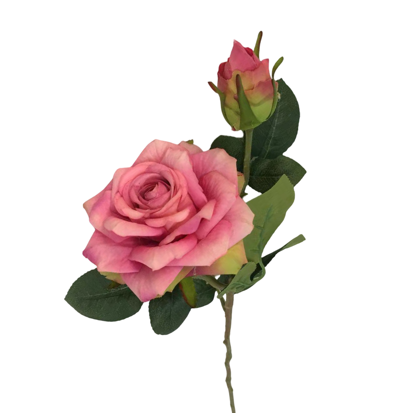 FL13595 ROSE SPRAYx1F1B (NAT) 19"
