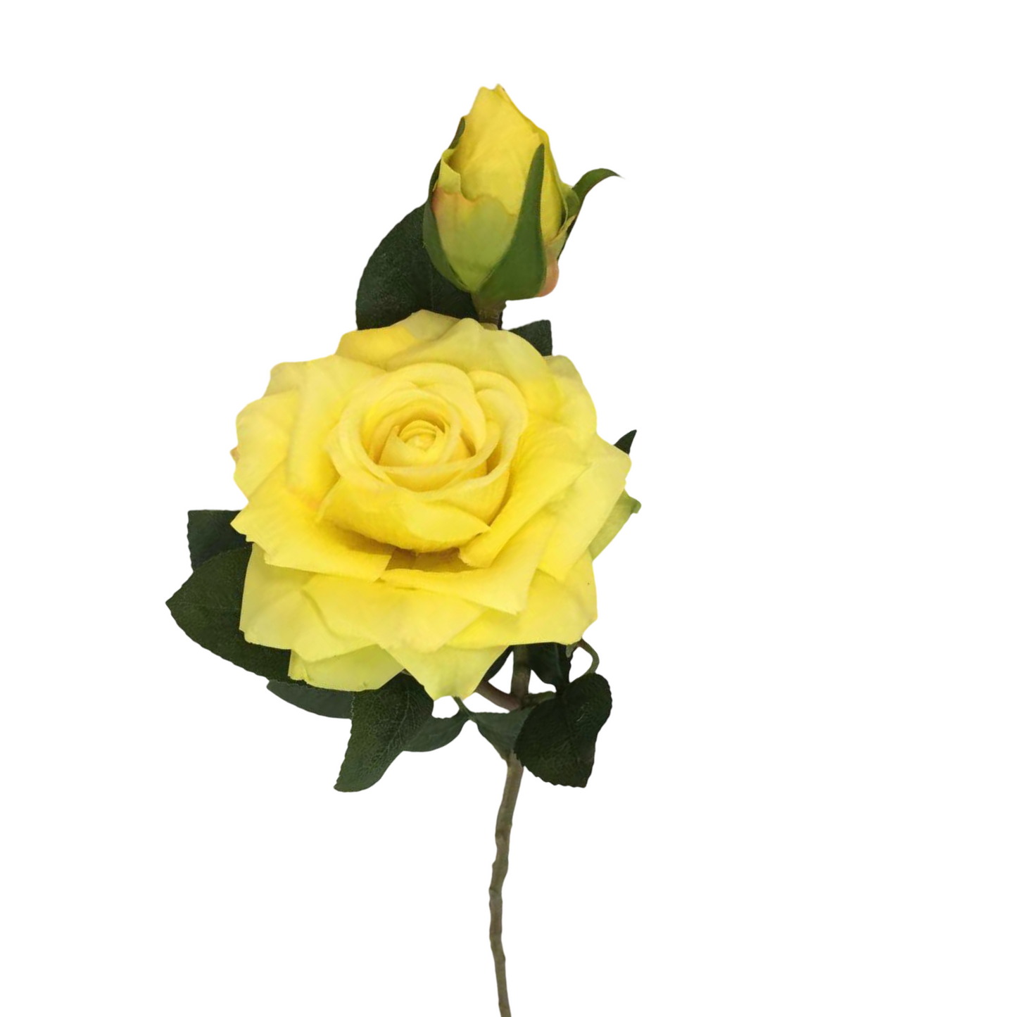FL13595 ROSE SPRAYx1F1B (NAT) 19"