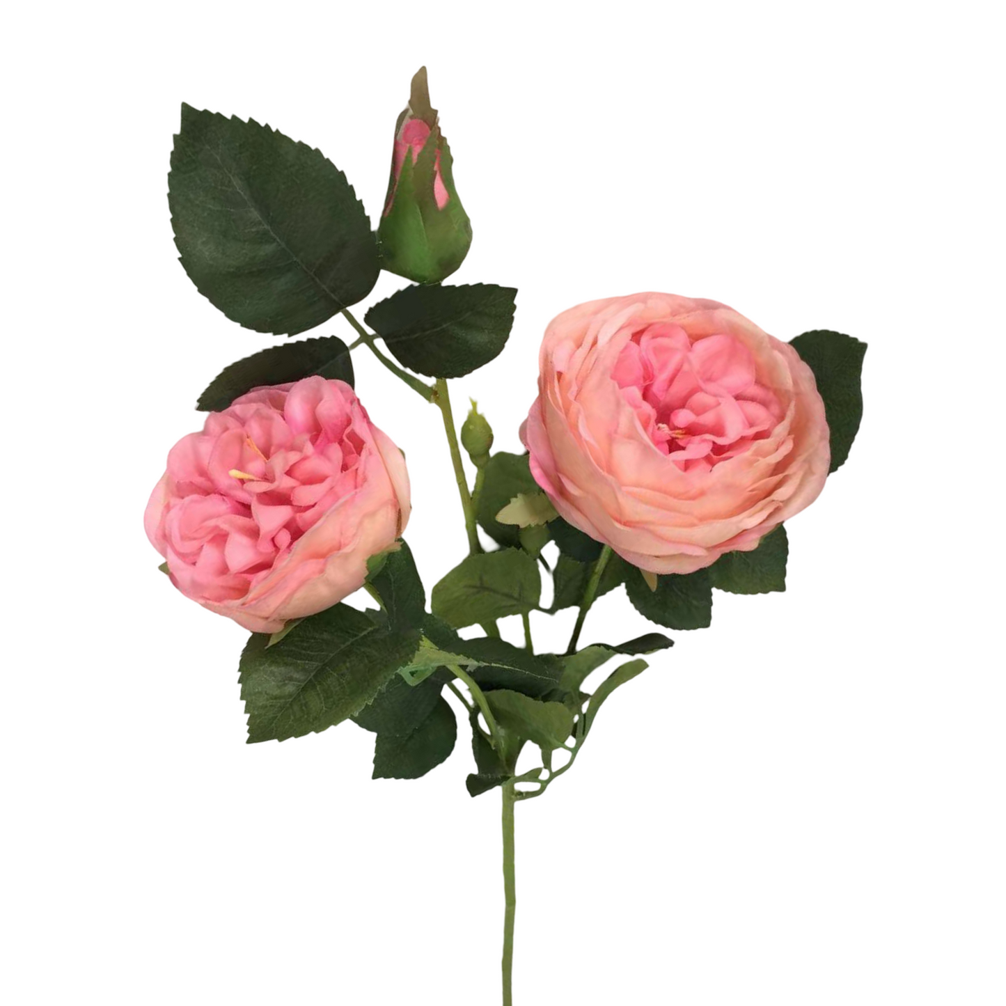 FL13596 TEA ROSE SPRAY (NAT) 24.5"