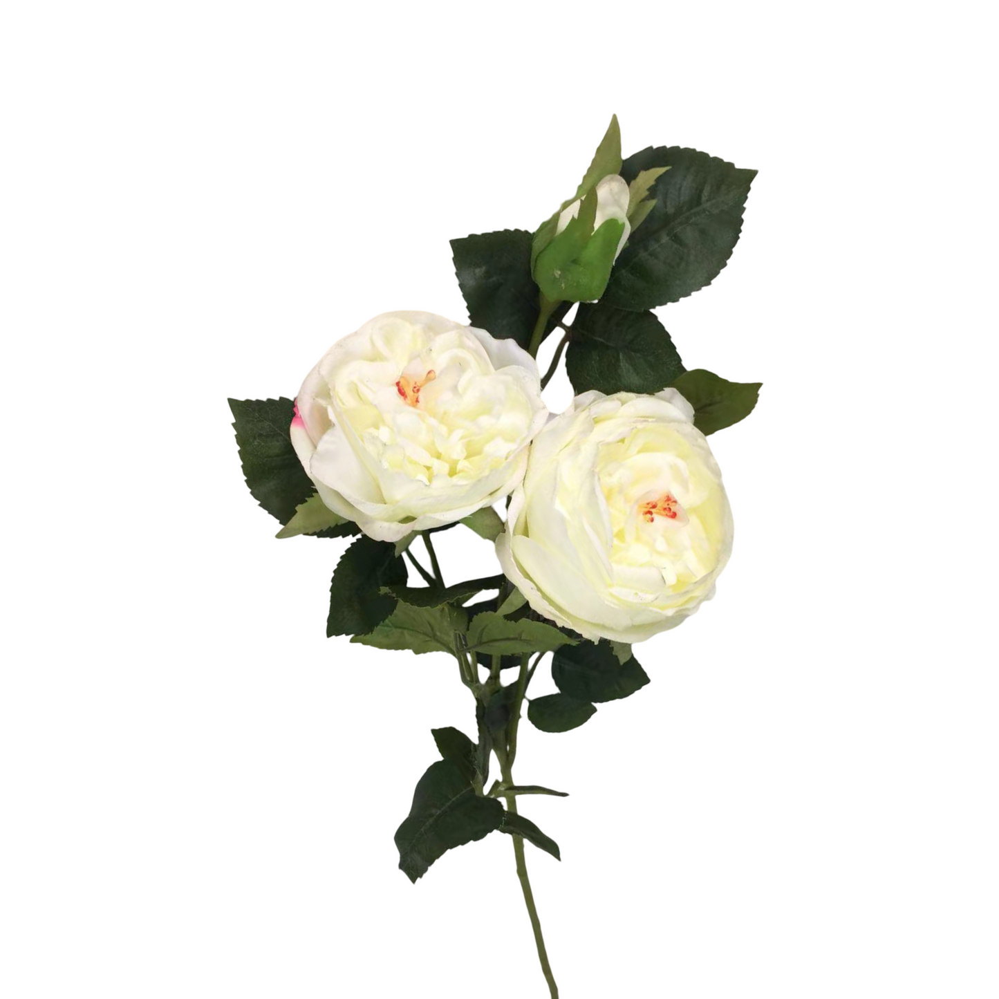 FL13596 TEA ROSE SPRAY (NAT) 24.5"