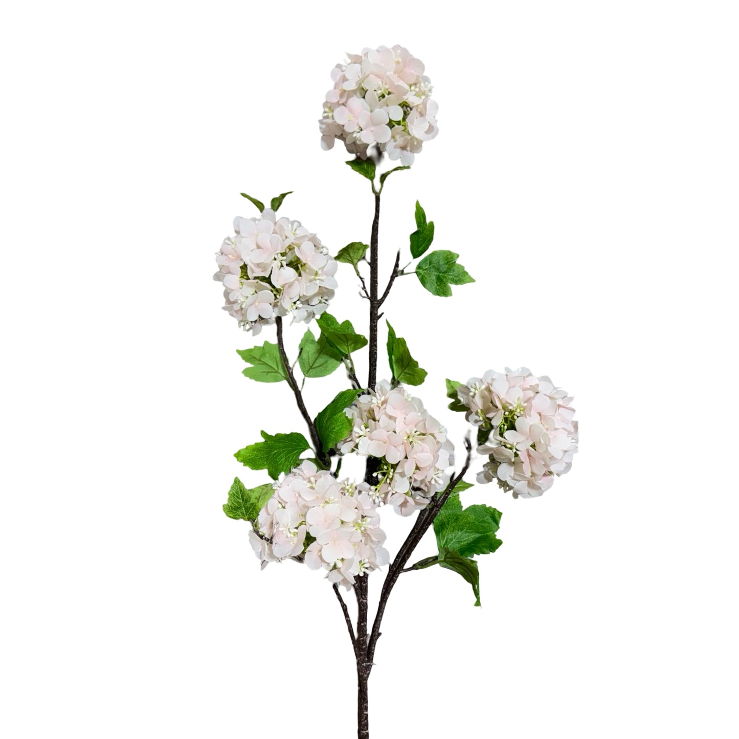 FL13602 VIBURNUM SPRAYx5F 45"